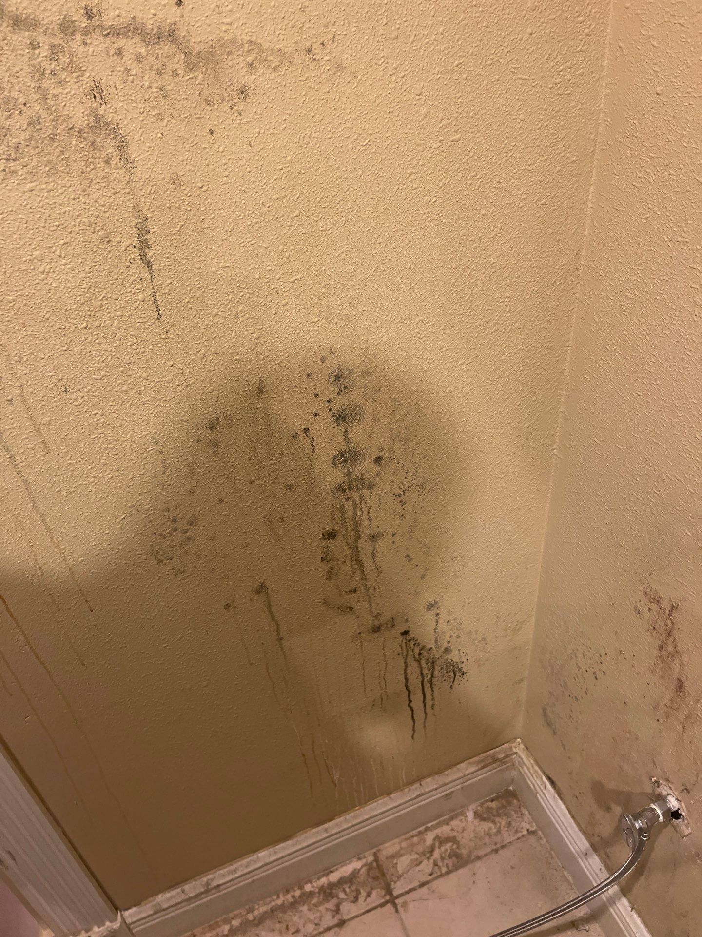Mold remediation and rebuild of kitchen and living areas by Bay Coast Restoration 