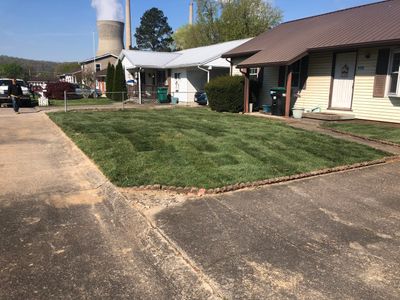 Sod Installation using Fescue Sod