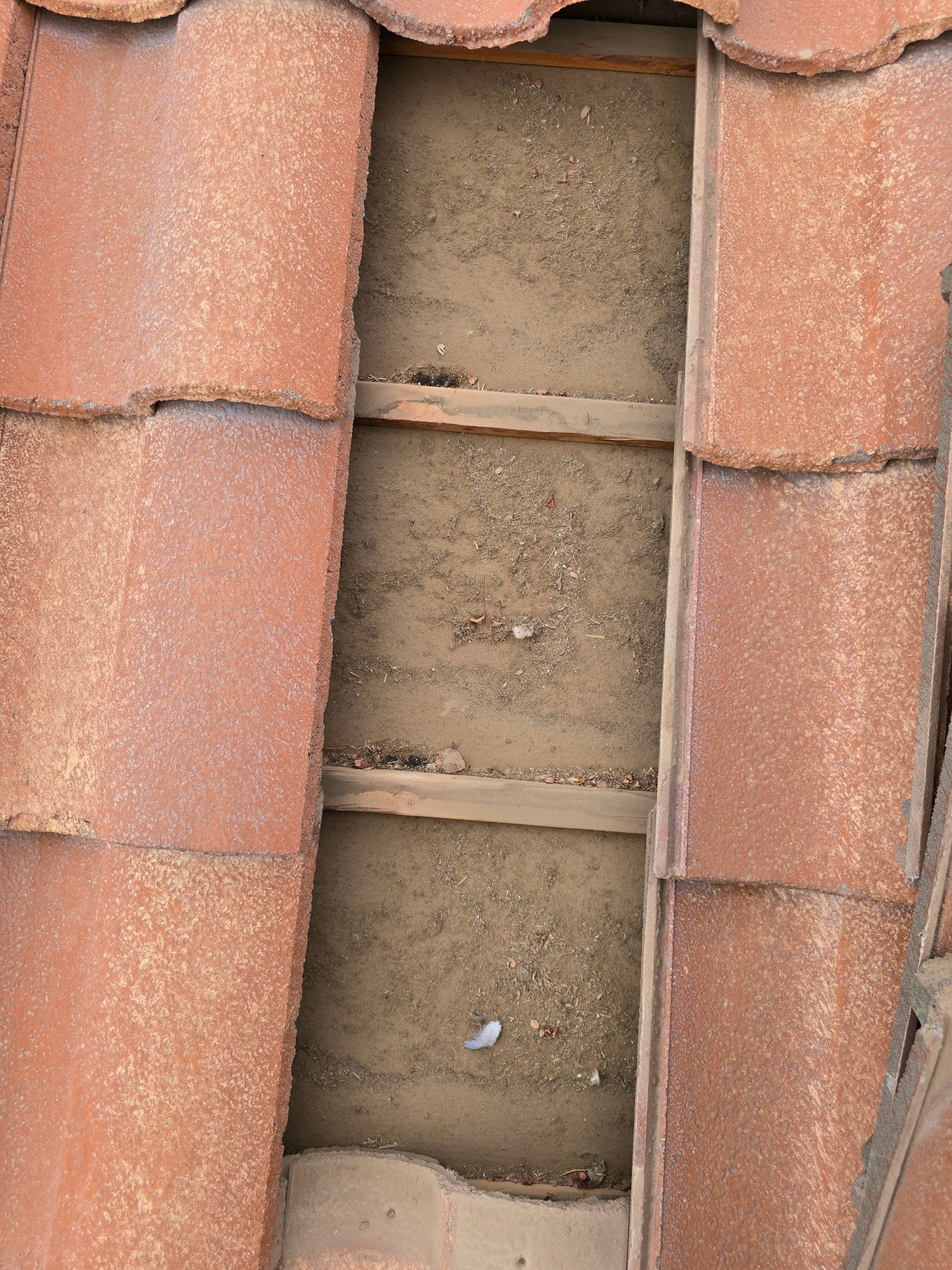 Project in Peoria, AZ by Showtime Roofing & Coatings LLC