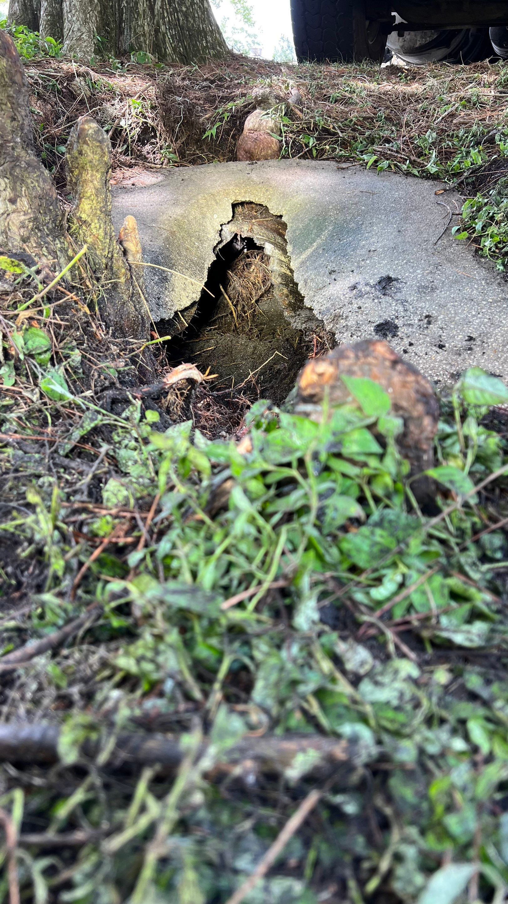 Apartment Complex Storm Water System Cleaning and Maintenance by APS Power & Water