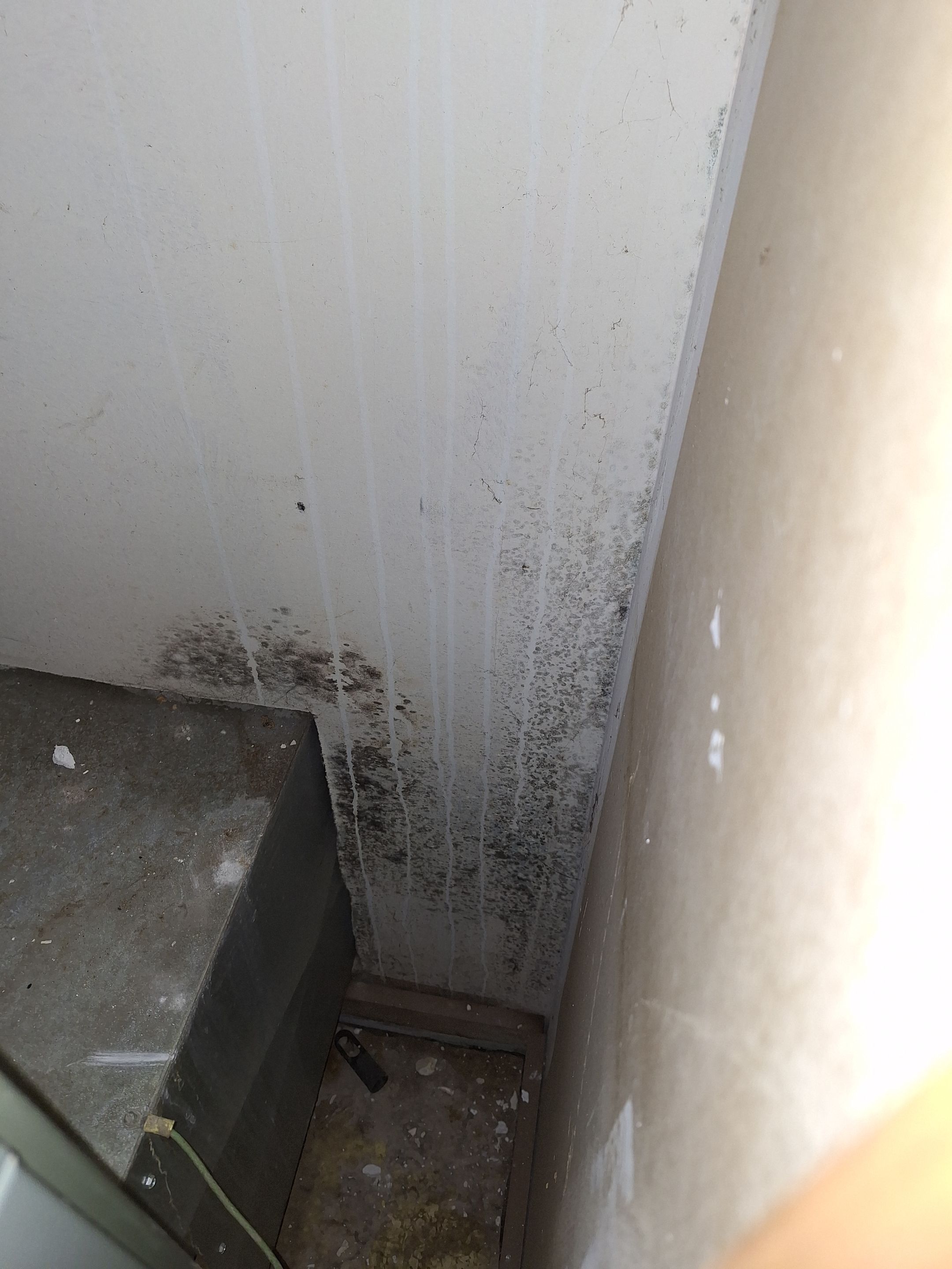 Mold Remediation in Jeffersonville, IN by ANR Restoration