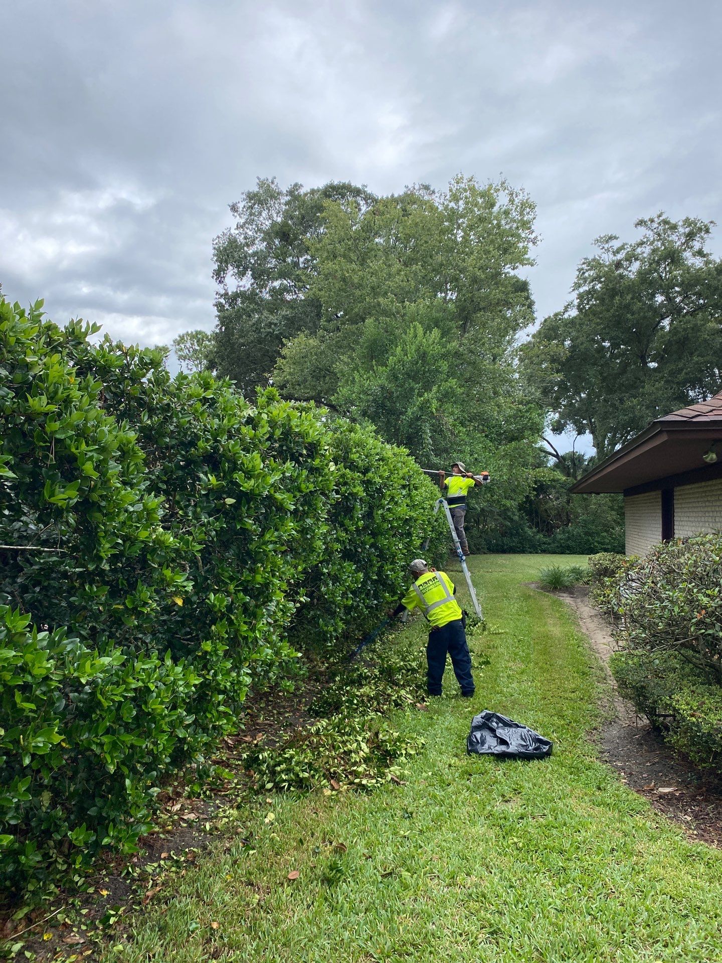Deerwood Resident | Shrub Work by ProGreen Services
