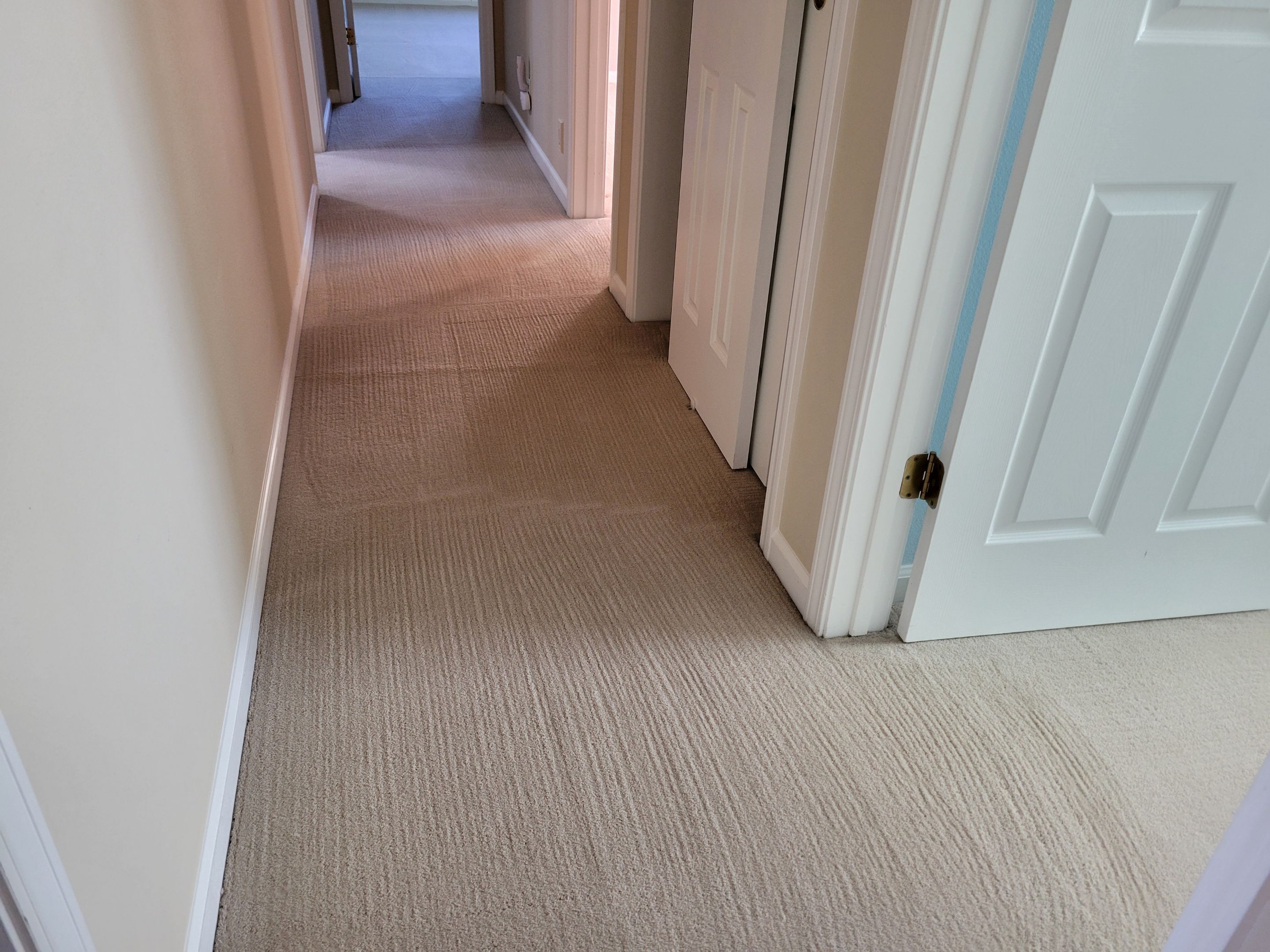 Carpet Re-stretch & Cleaning in Davis by Ardent Carpet Restore LLC