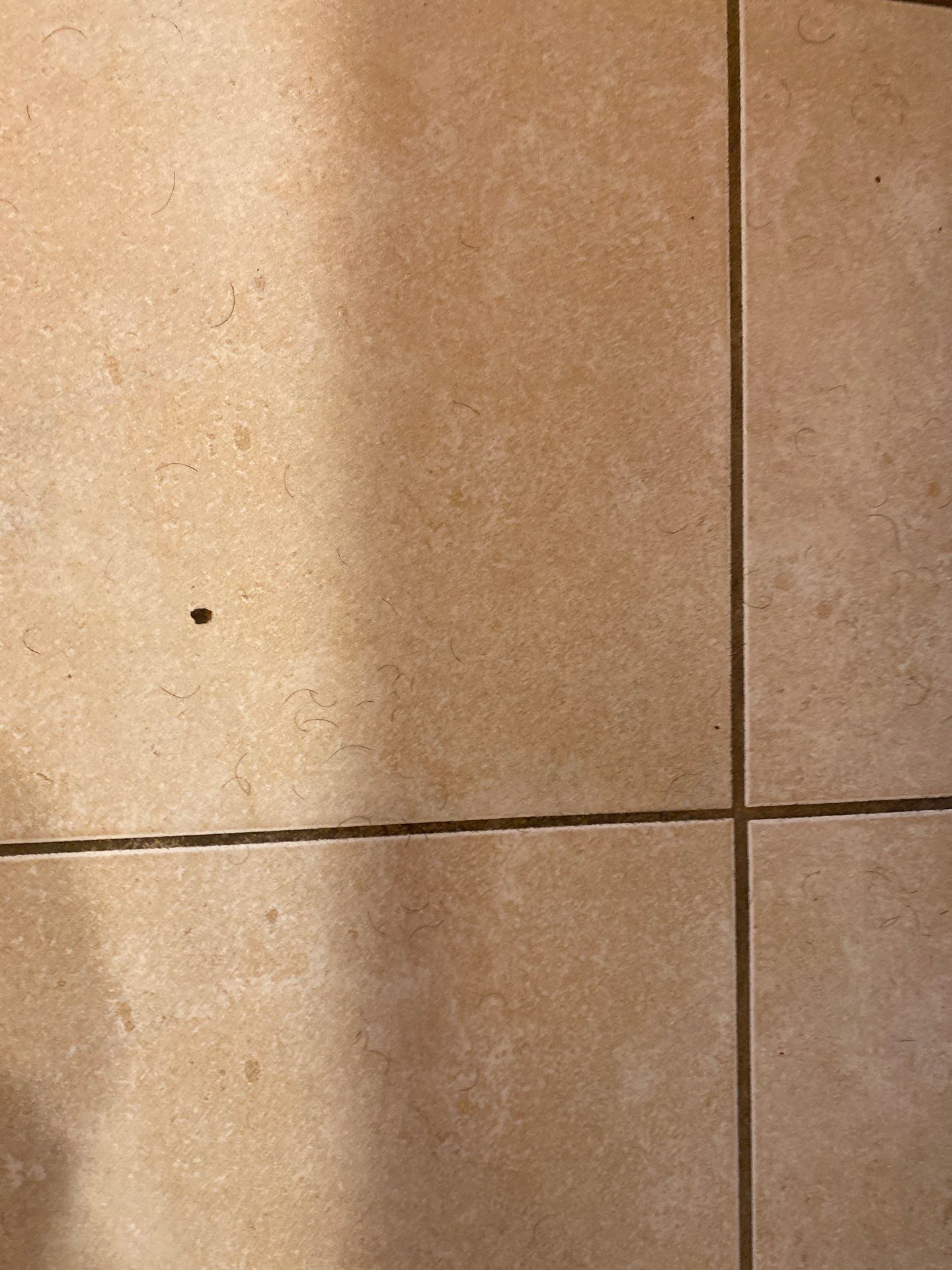 House cleaning in Lake Oswego by Cloud 9 Professional Cleaning Services