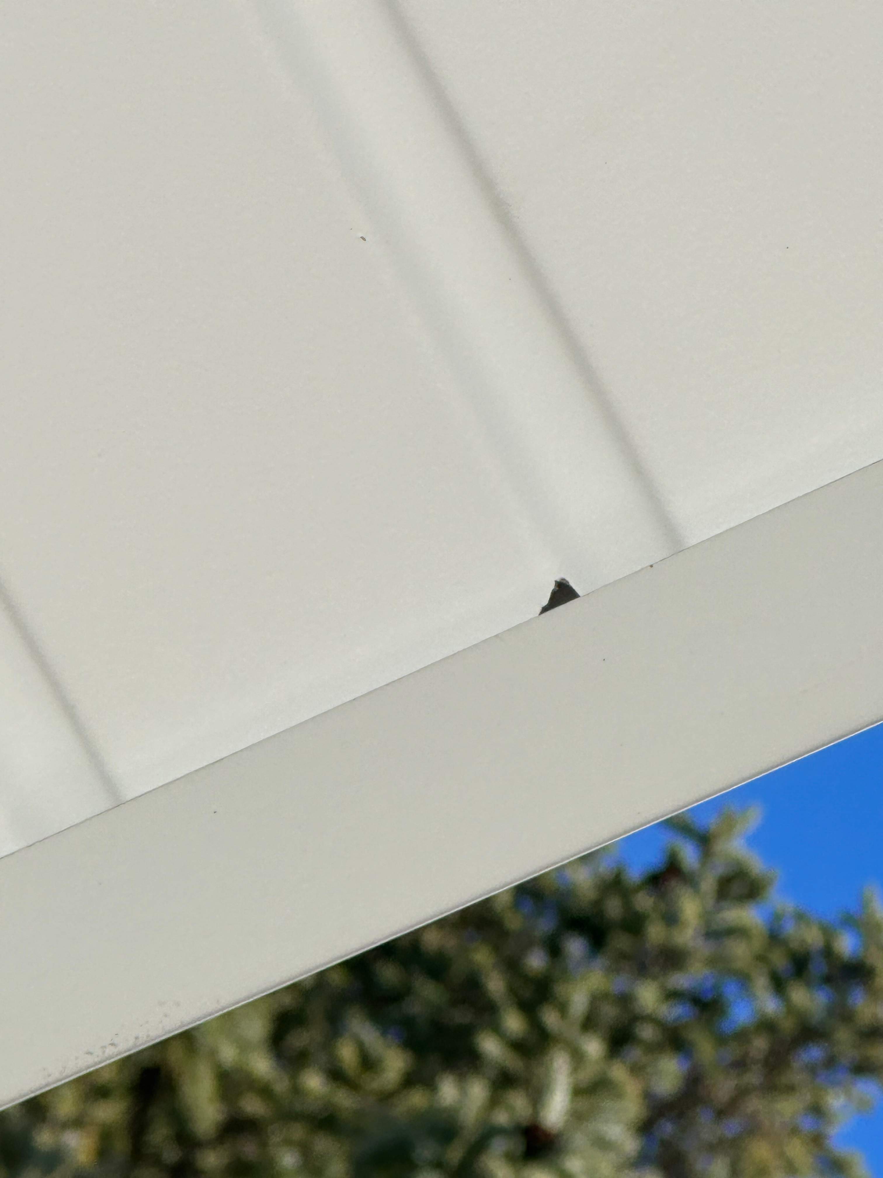 Siding Installation using Everlast Composite by Loyalty Exterior Solutions 