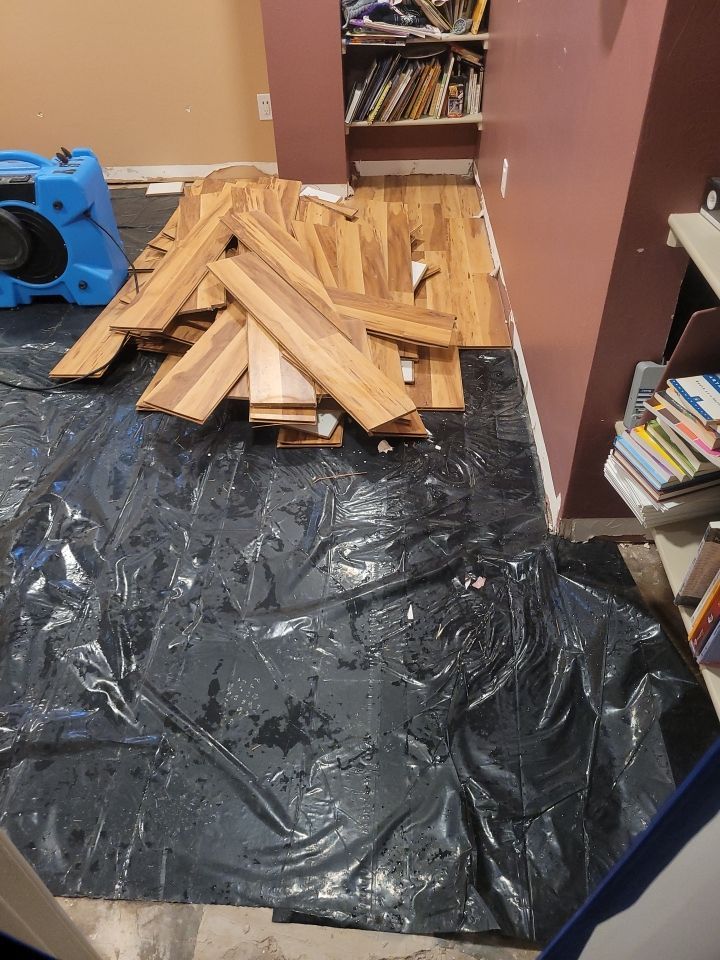 Water Damage and Mold Remediation by Accountable Home Services