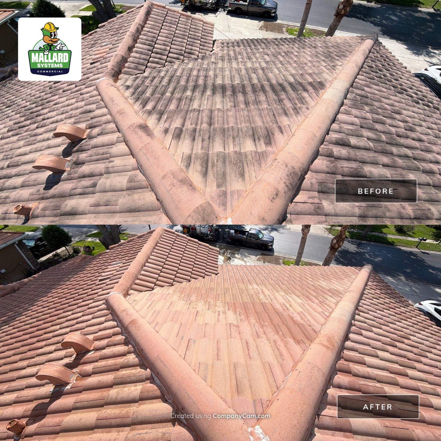 Roof Cleaning  by Mallard Systems