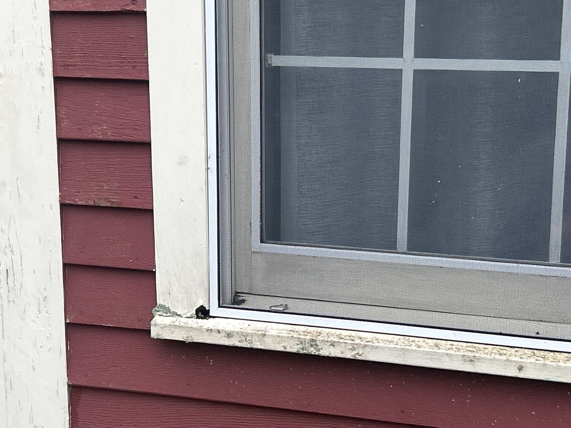 Roofing & Siding | Acton by Mighty Dog Roofing of Greater Middlesex County