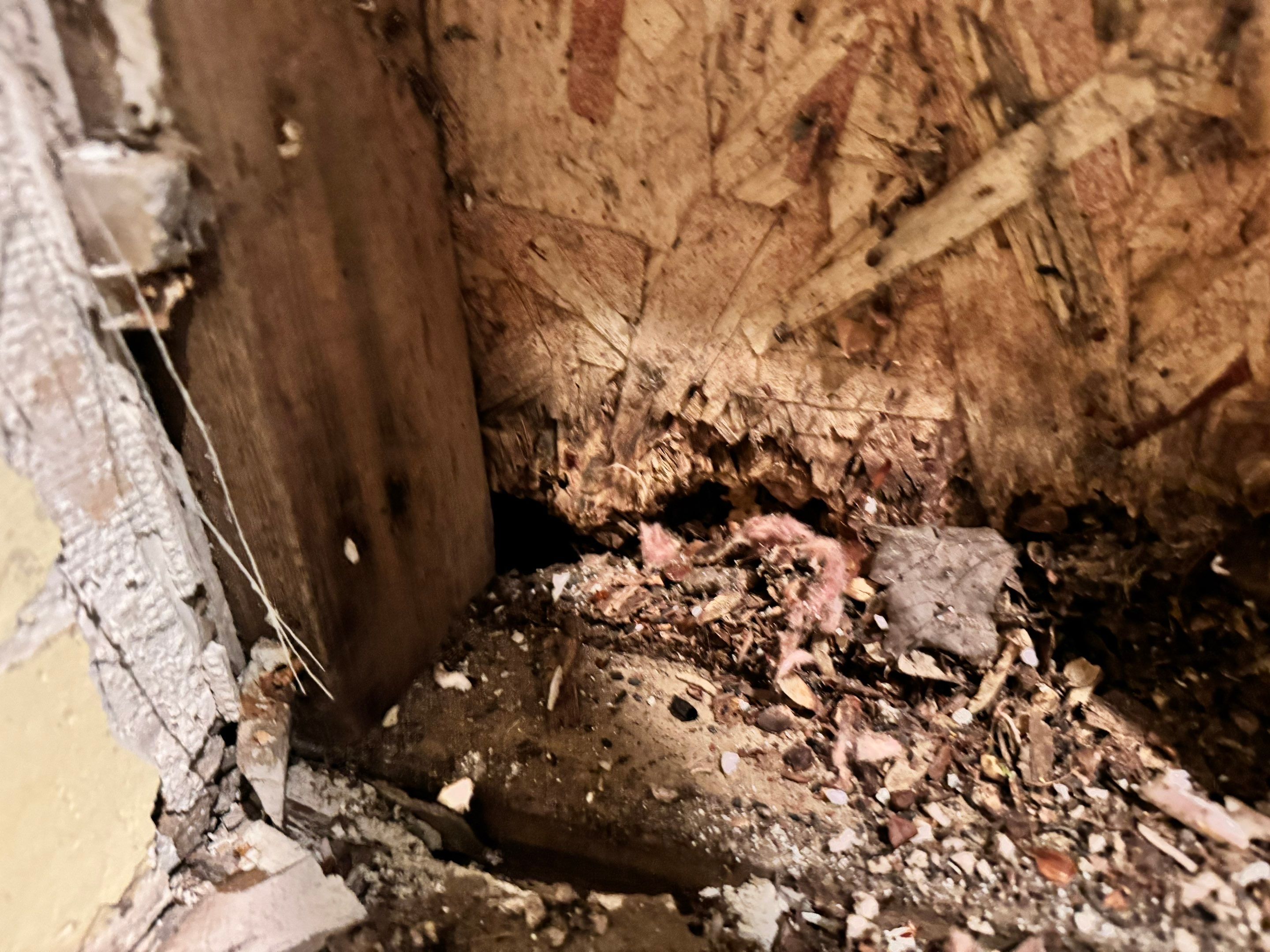 Mold Remediation using Home Guarantee by Home Guarantee, LLC