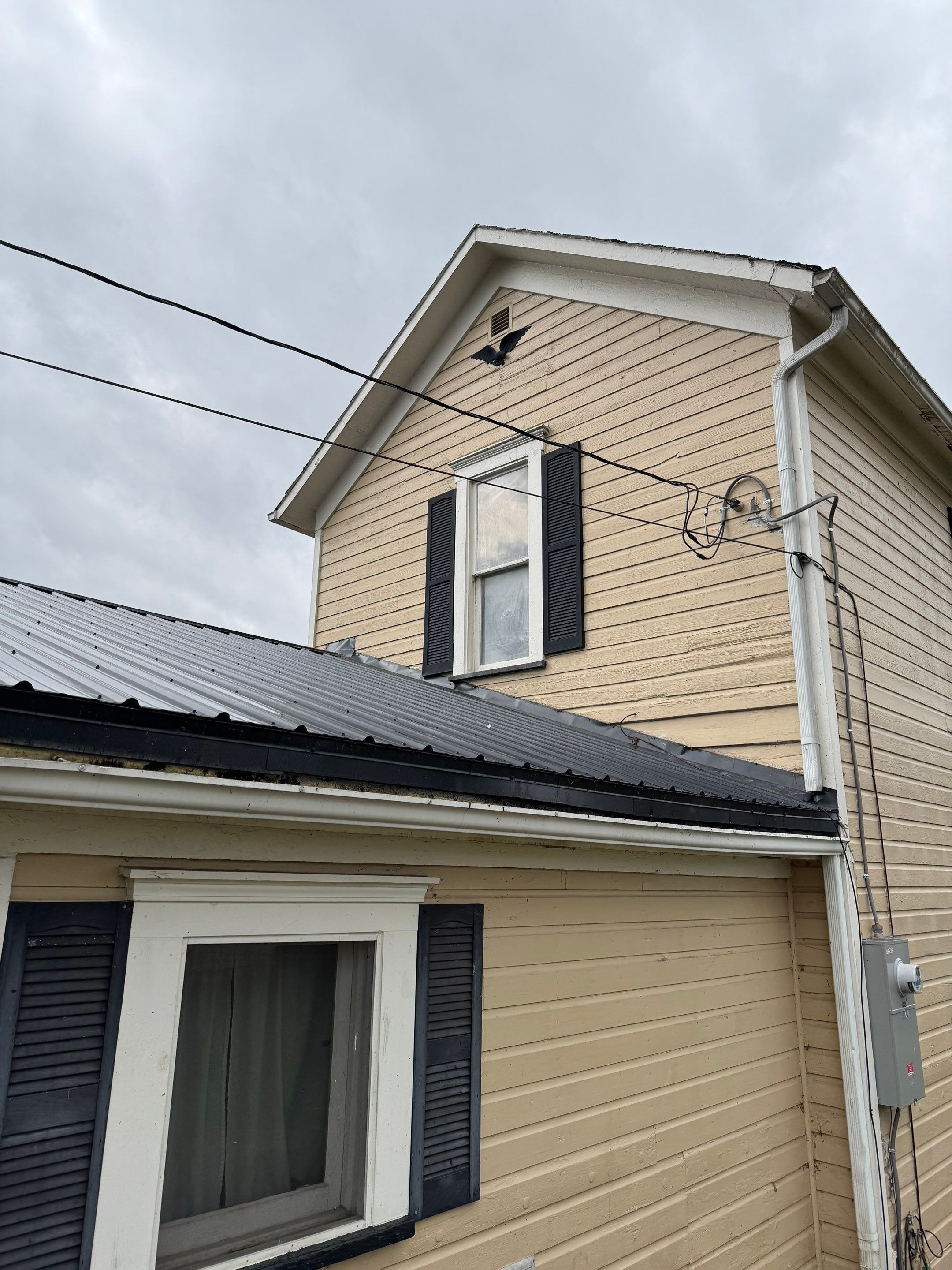 Vinyl Window Replacement and Black Shutter Installation in Dennison by Ohio State Windows