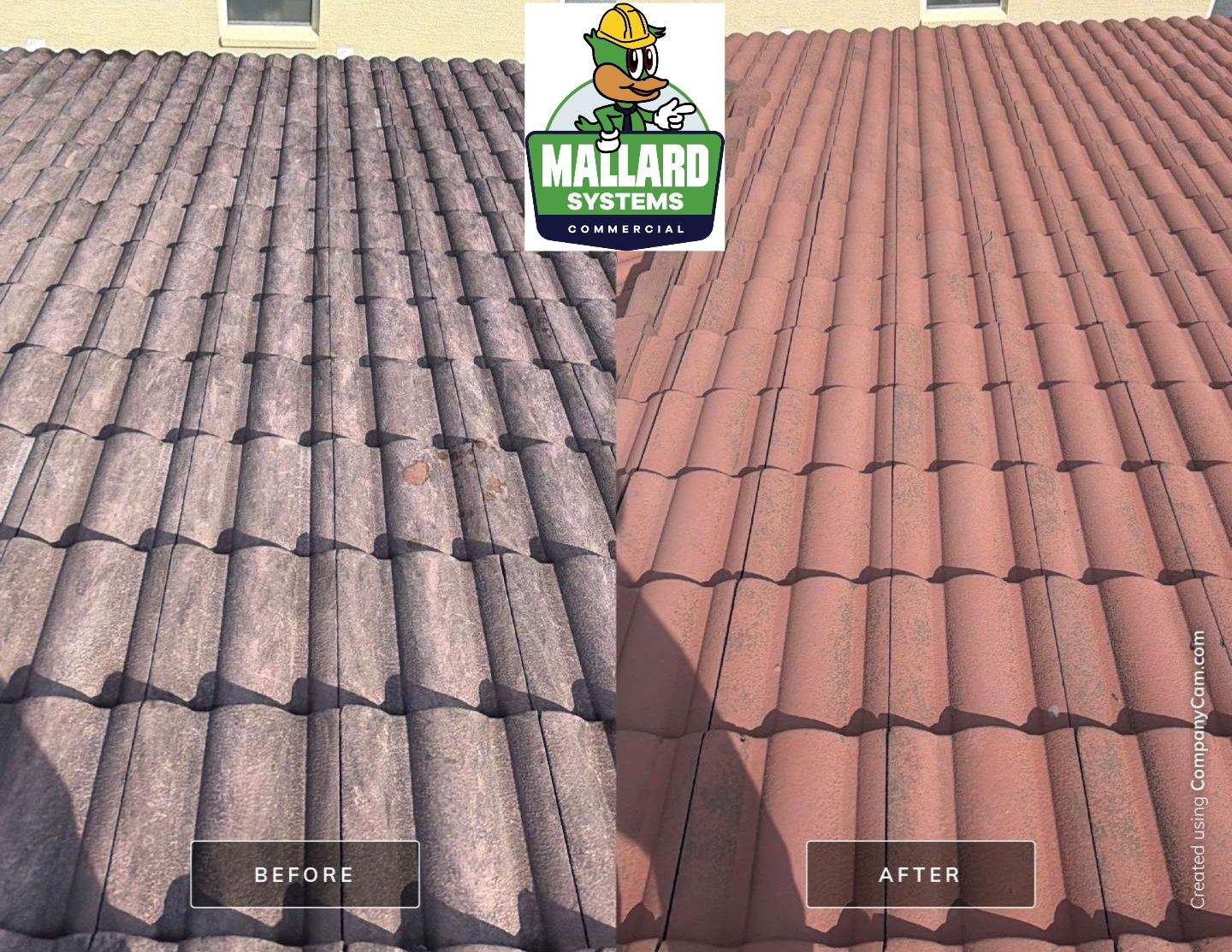 Residential Tile Roof Cleaning and Exterior House Wash in Winter Springs by Mallard Systems