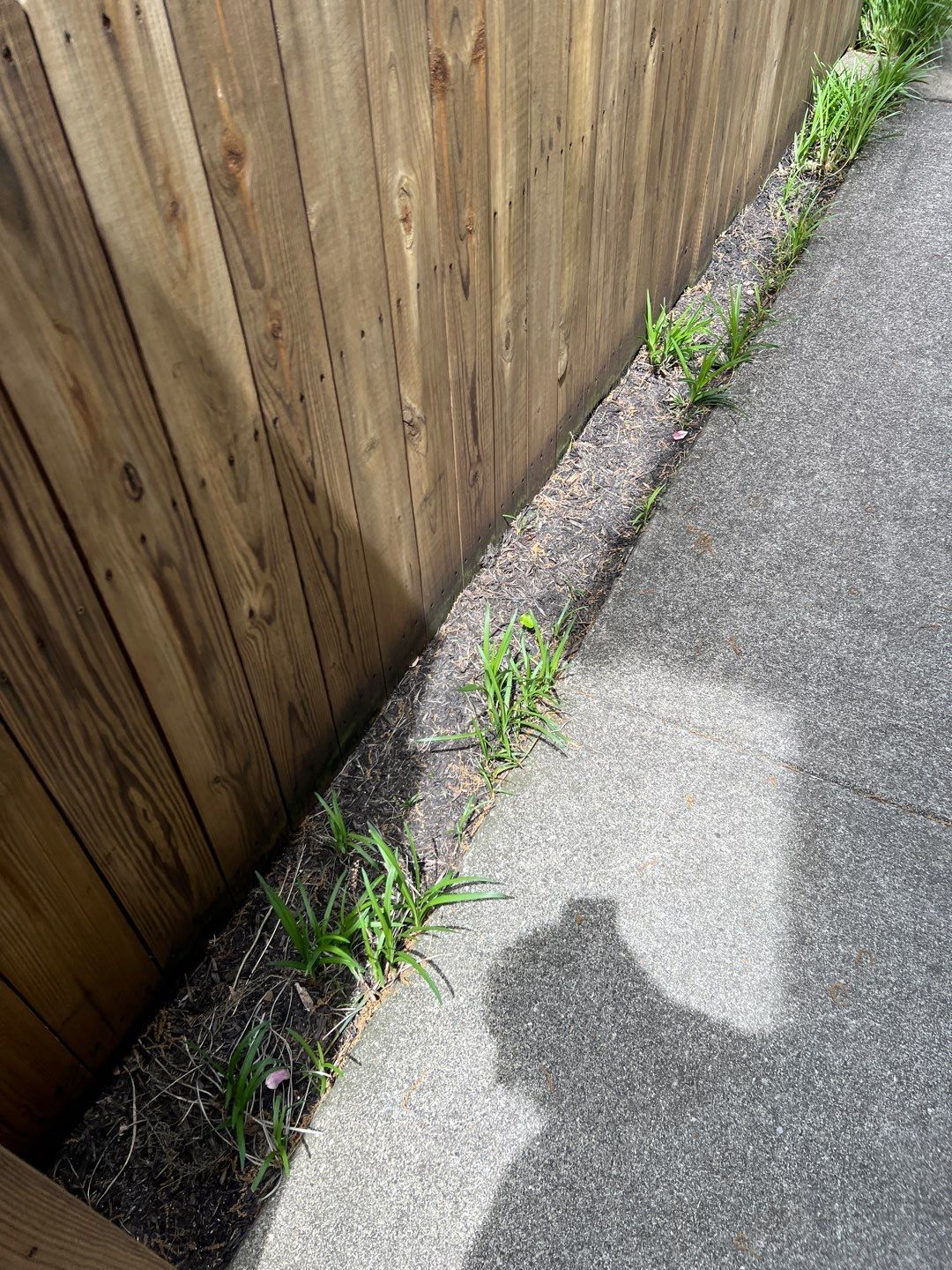 Liriope grasses, mulch and stone pavers by GrassBusters, Inc.
