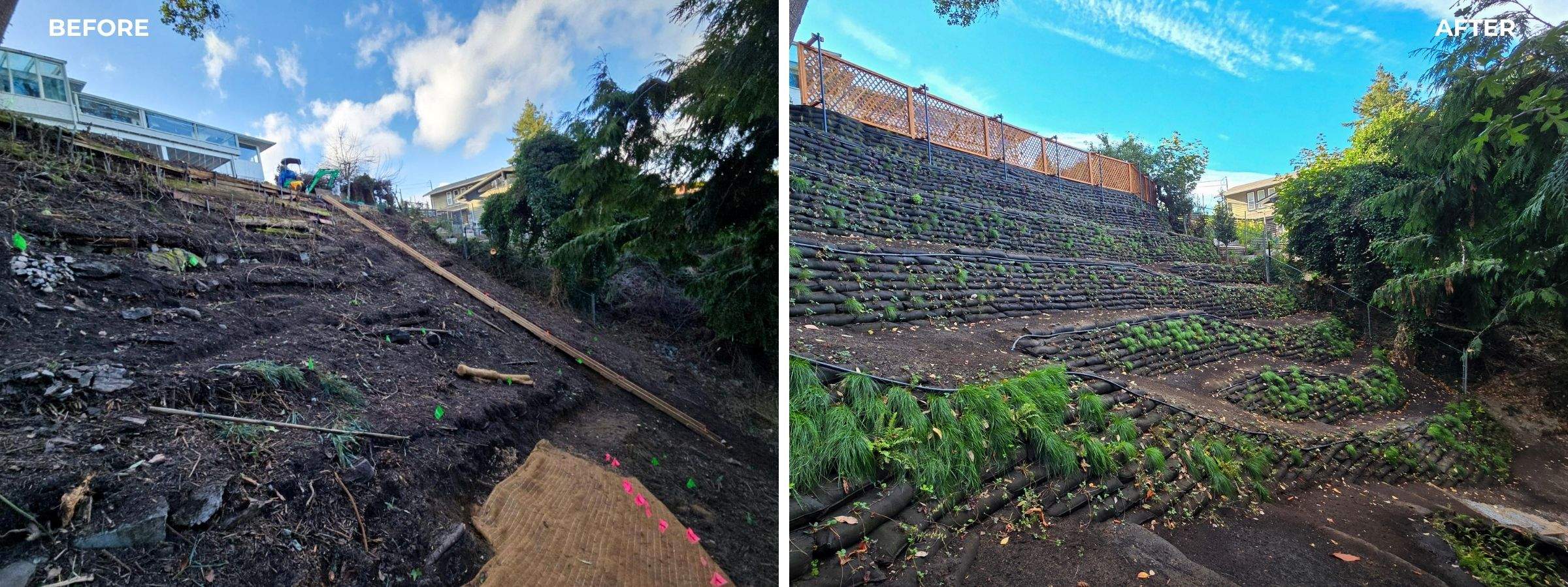 Georgia Park Terrace — Living Slope Transformation by Habanero Landscape Solutions