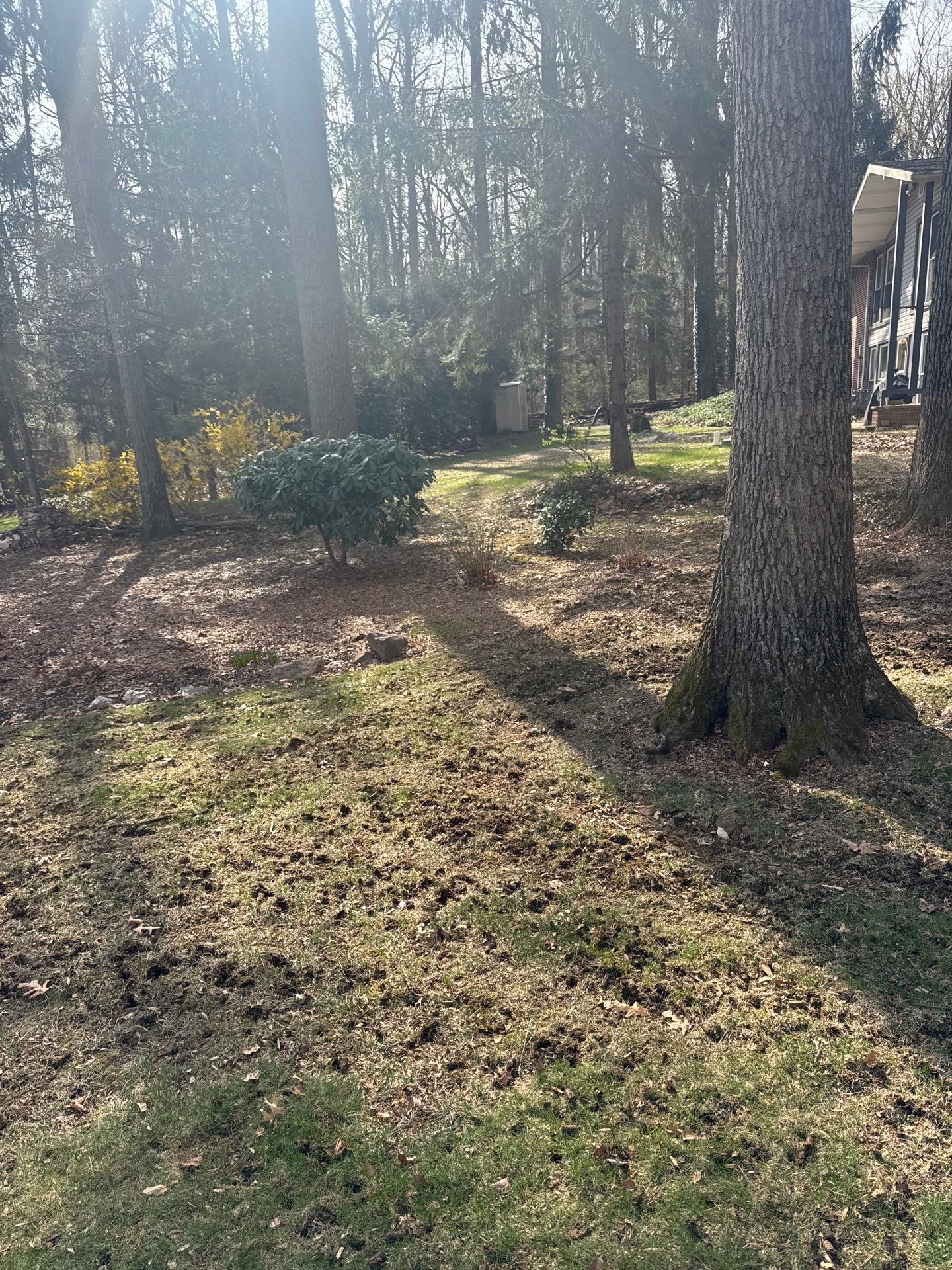 East York Pa by Go Green CLC