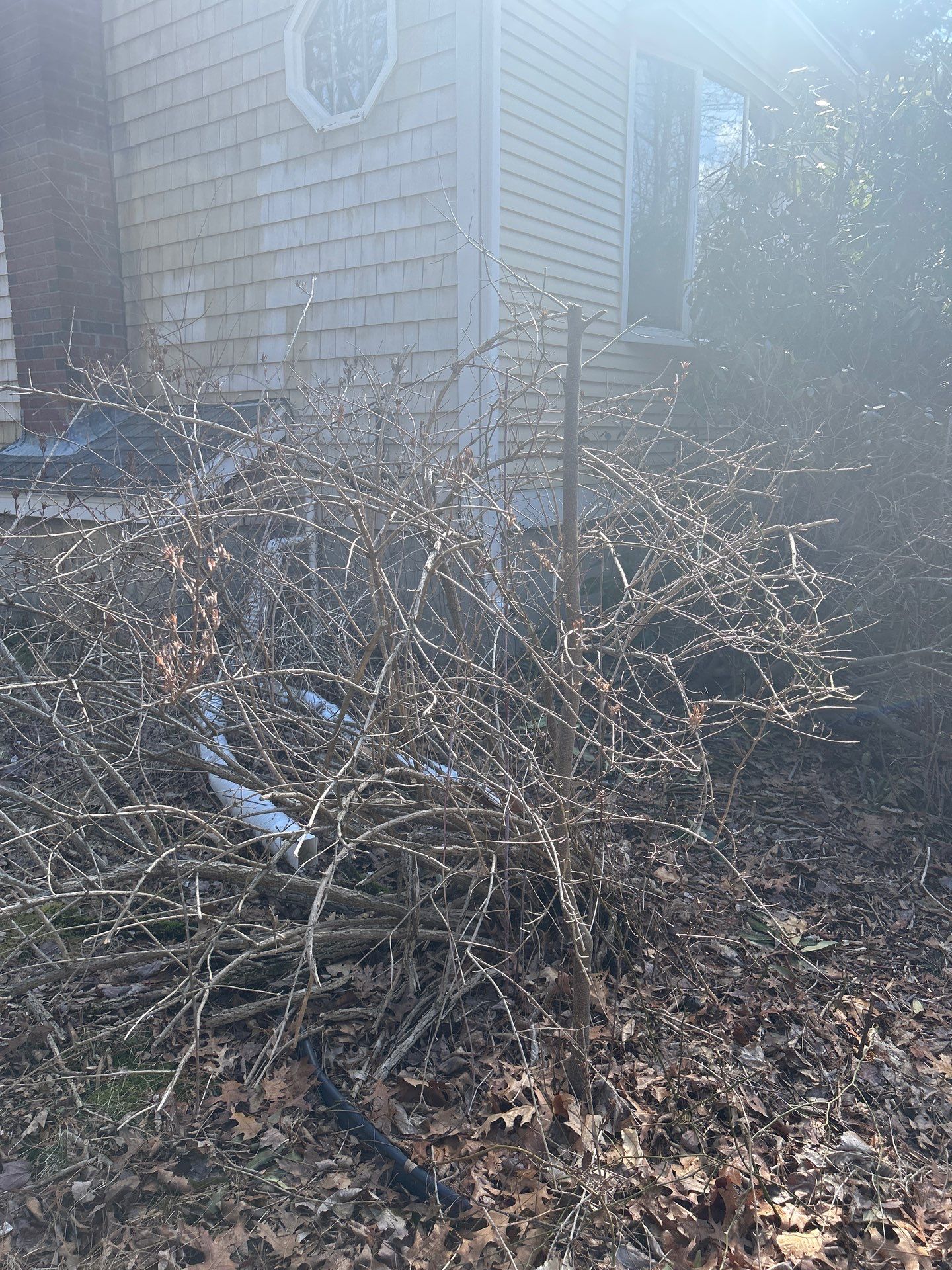 Landscape Walkthrough by LaMere Landscaping and Property Maintenance