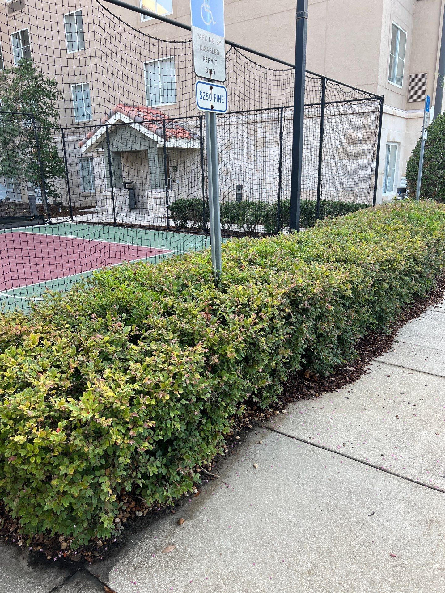 Homewood Suites | Tree Service by ProGreen Services