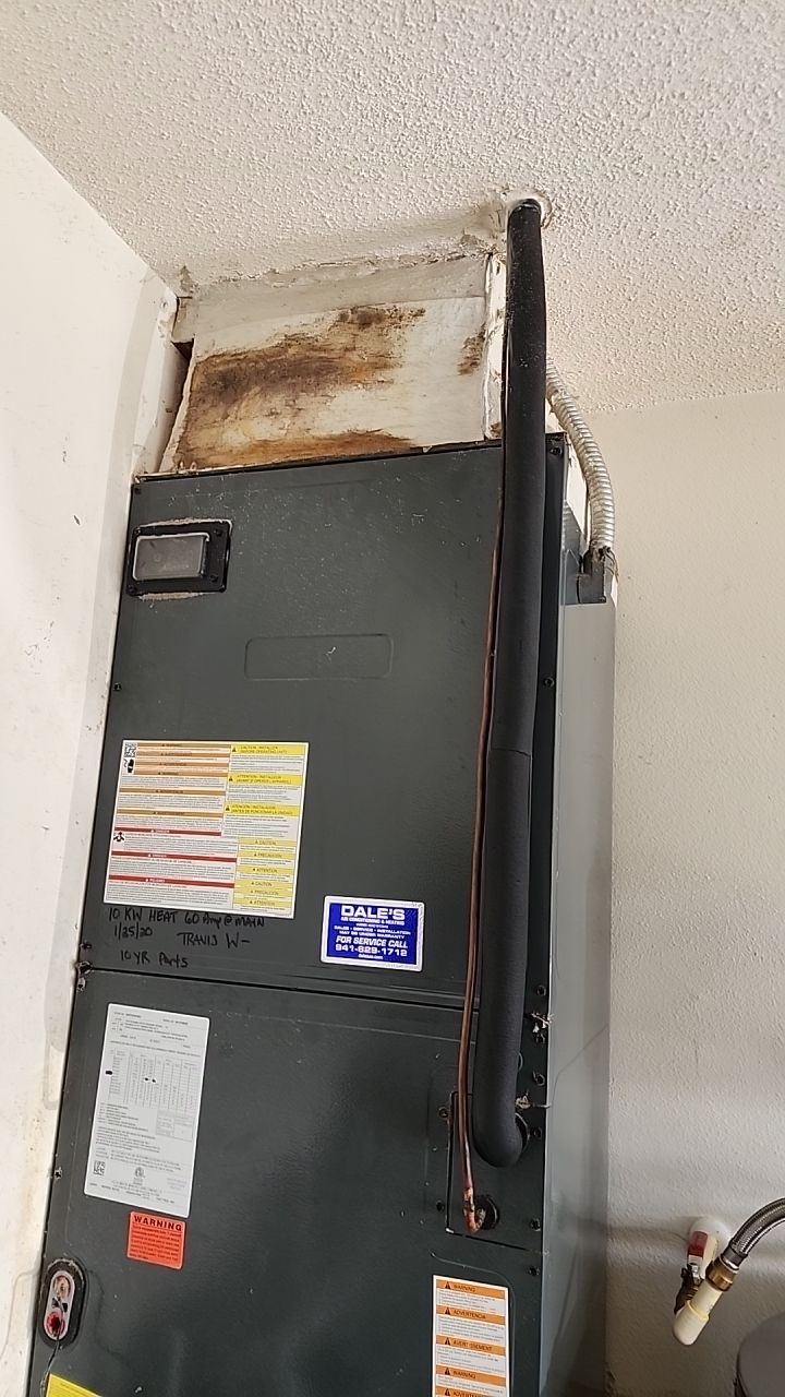 Suspect Mold growth in HVAC System by Building performance Solutions LLC