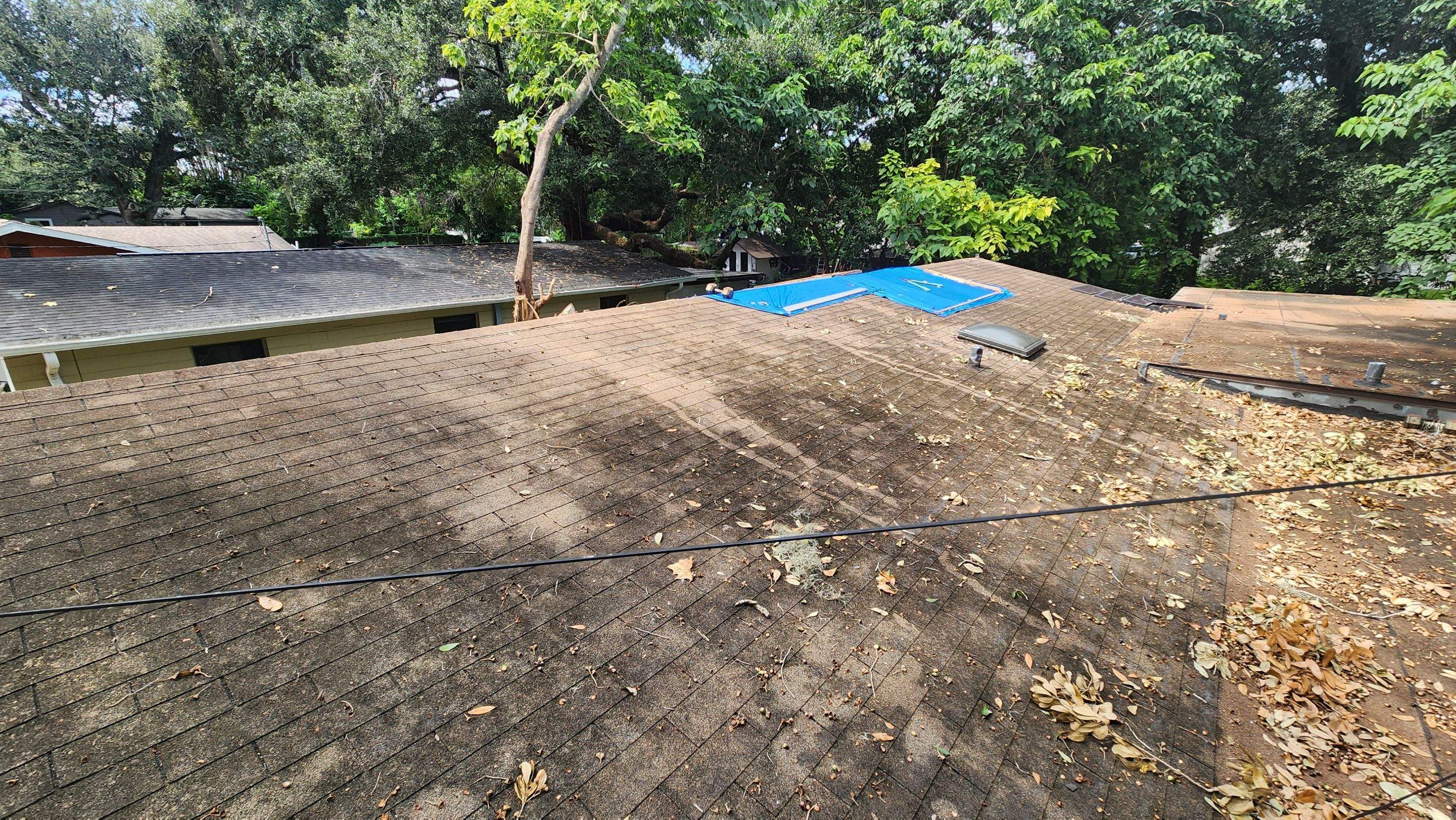 Tree Damage Claim in Orlando by FLAPA & KeyStone