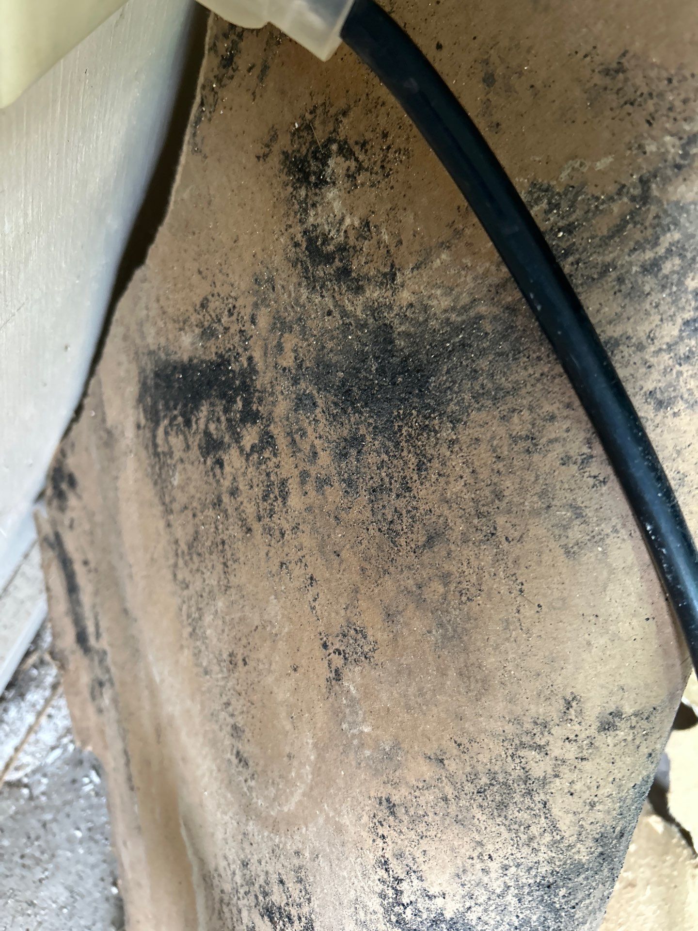 Water Damage Repair In Bradenton, FL by Ampm Restoration Services
