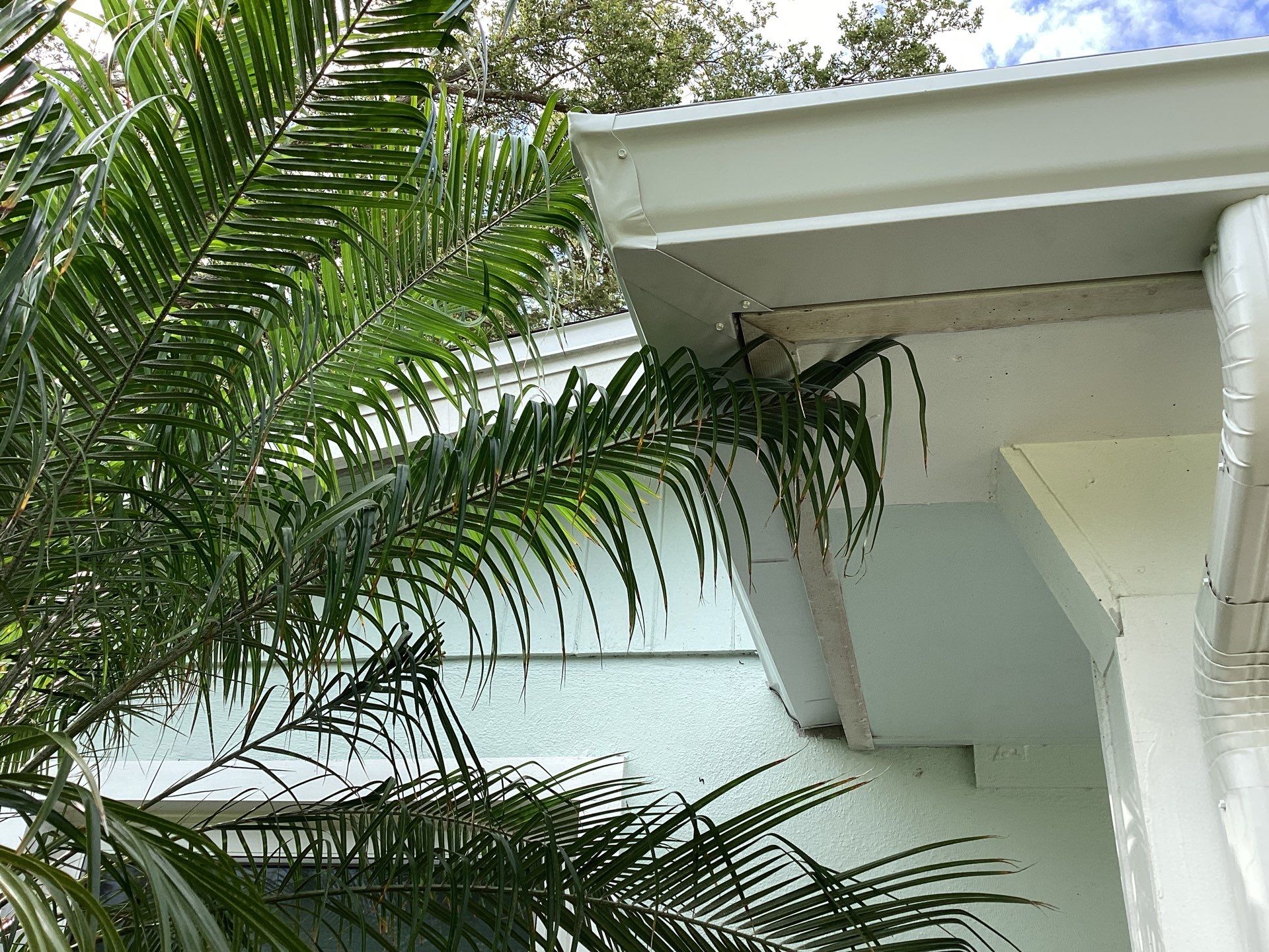 Elegant 7-Inch Seamless Gutters in Sarasota FL in Sarasota FL by Gutter Professors