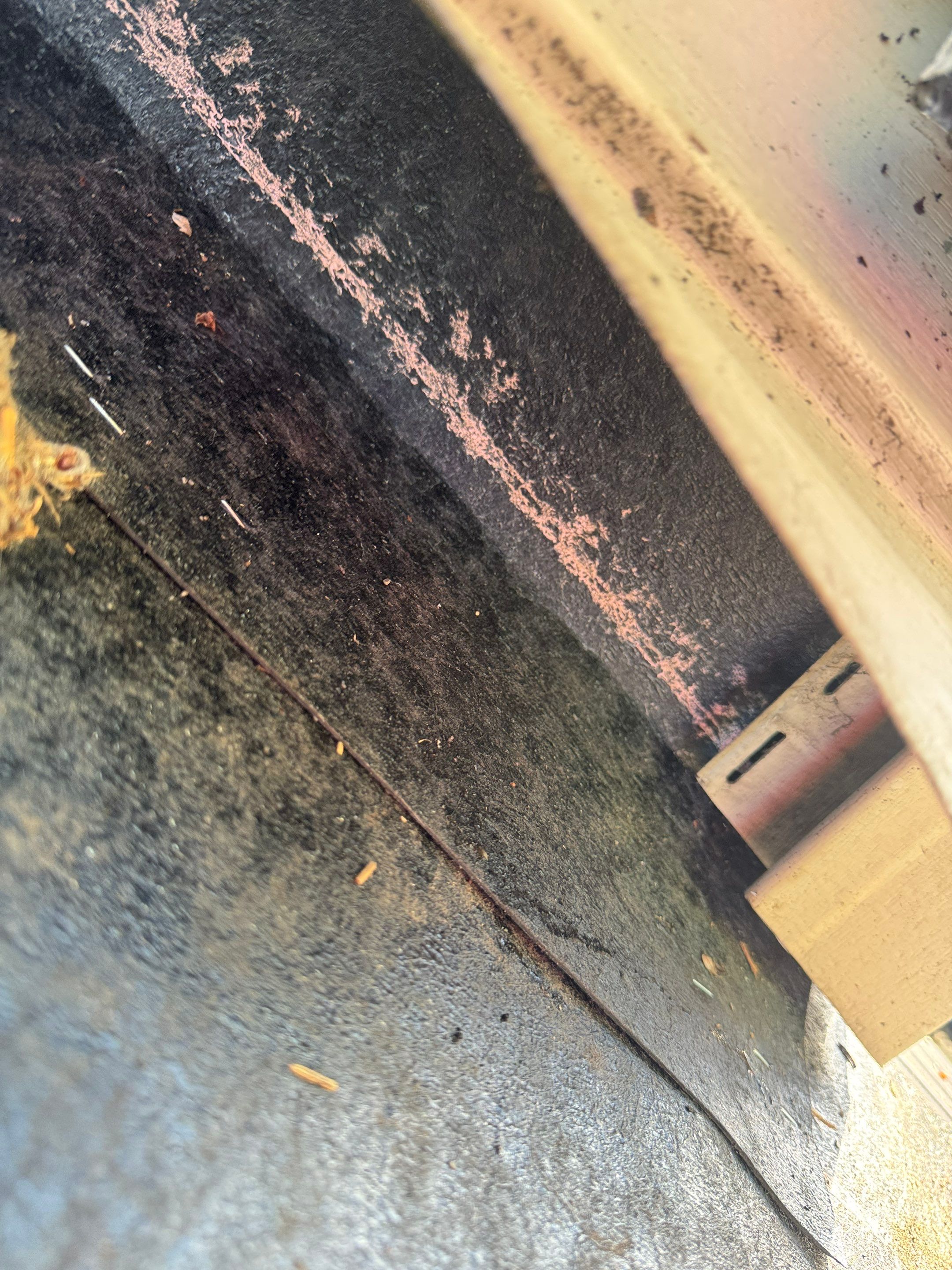 Roof Replacement using Owens Corning Tru Definitions by 180 Contractors