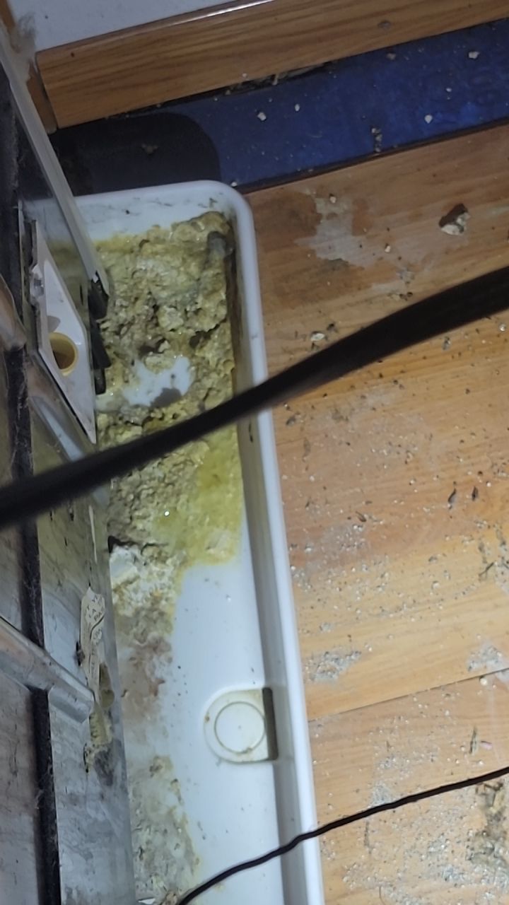 Water Damage by Accountable Home Services