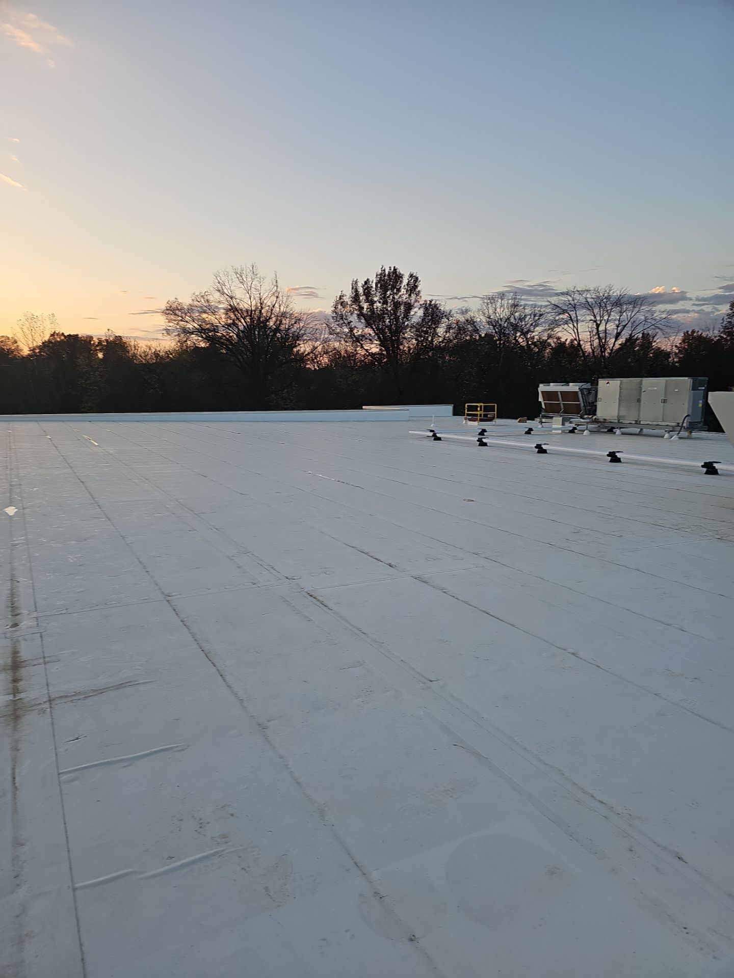 Aldi - Fulton  by Nitro Roofing and Construction