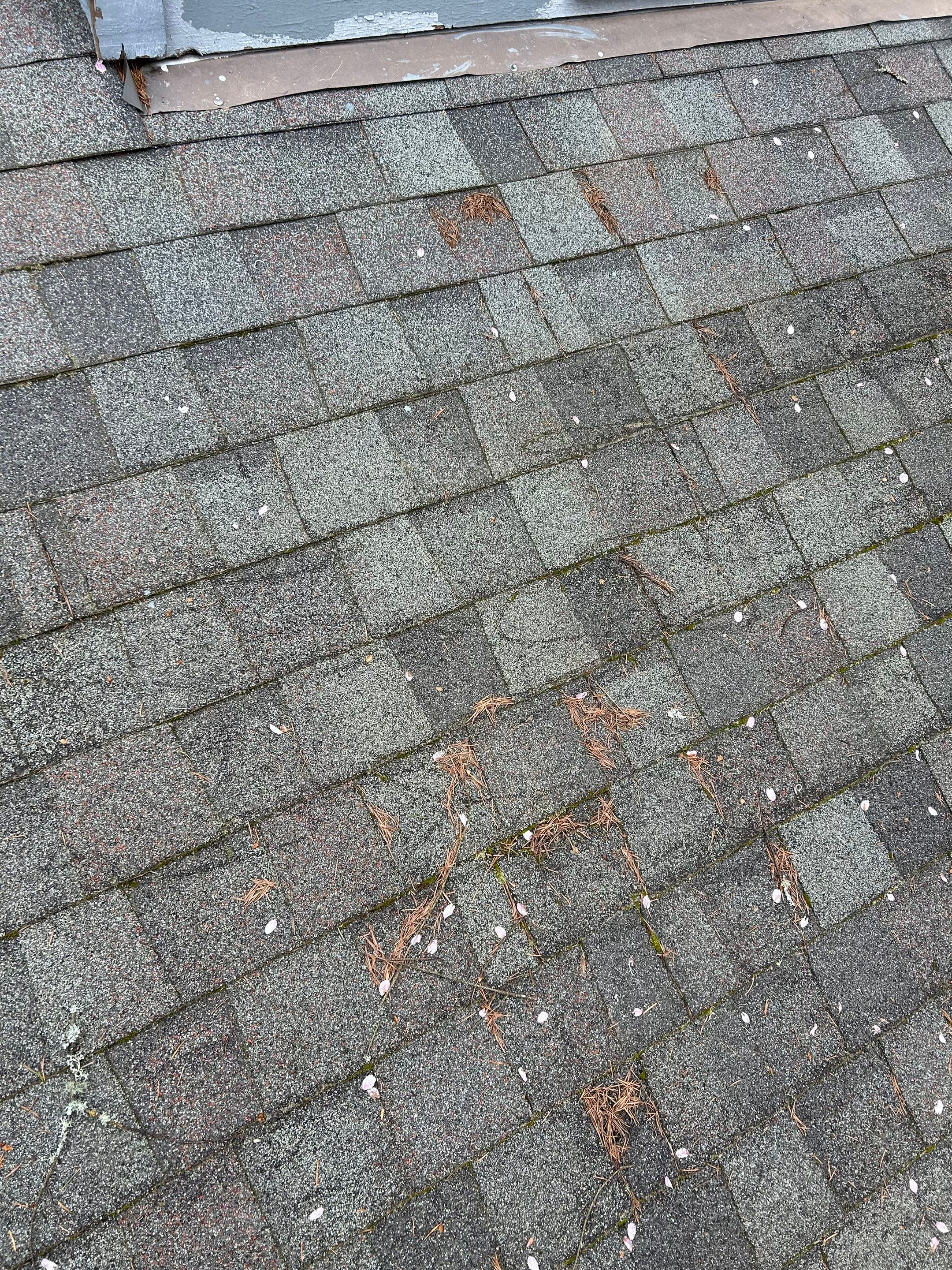 Project in Redmond by Peaks and Valleys Construction
