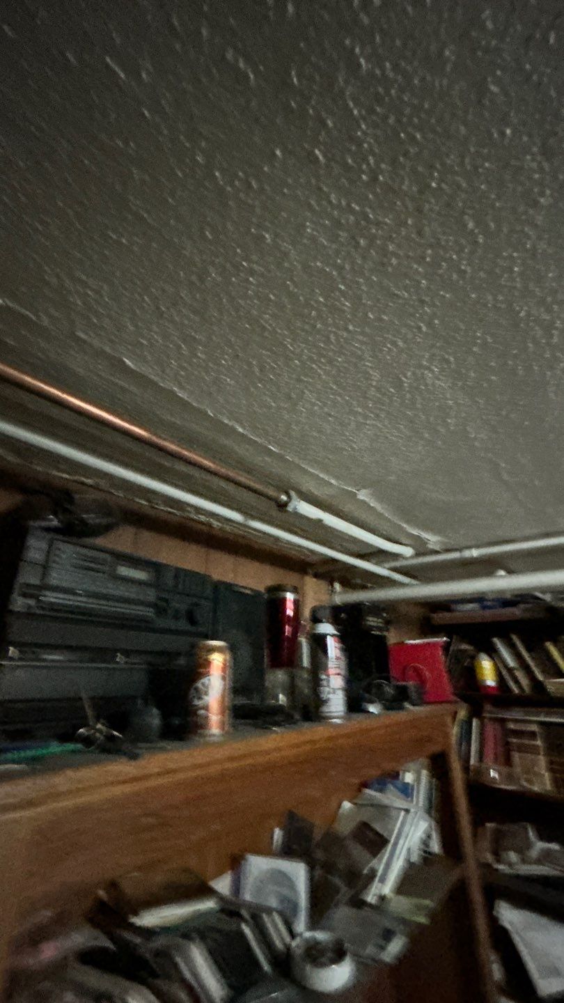 Mold Remediation by Accountable Home Services