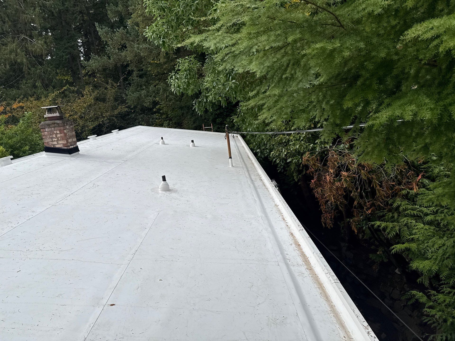 Seattle WA, GAF Everguard TPO  by Proline Roofing & Restoration LLC