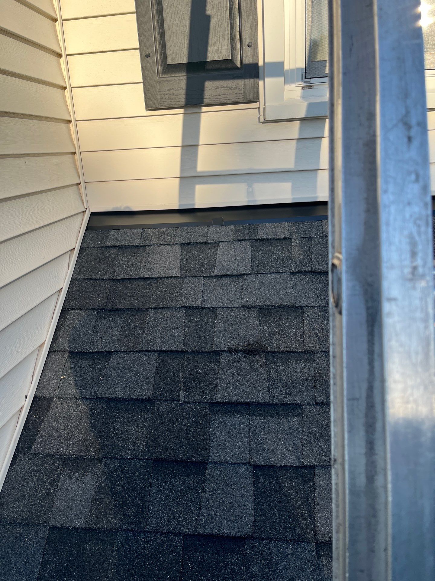 Vienna: CertainTeed Landmark Pro Designer Shingles in Max Def Moire Black by RM Banning, Inc.