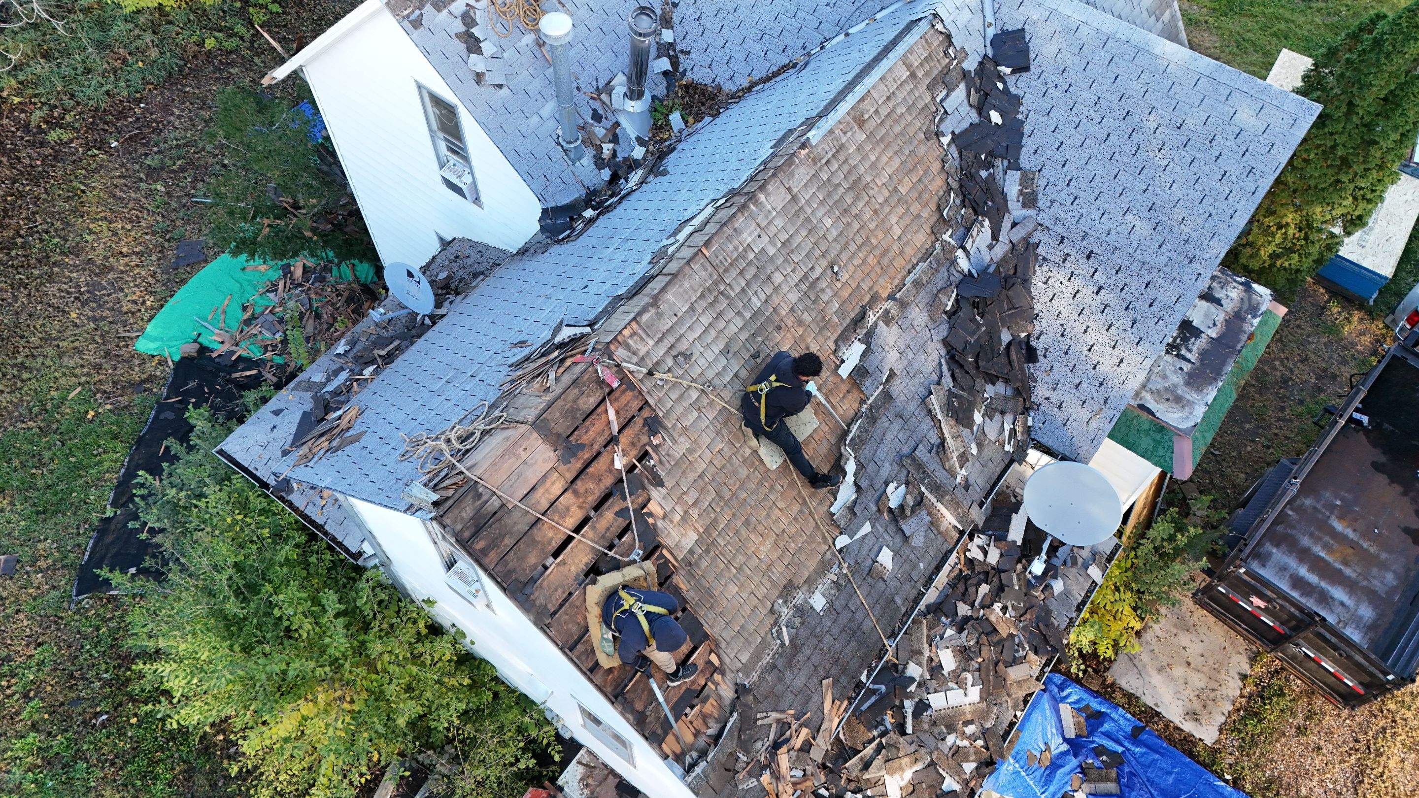 Malarkey Highlander Brilliant Black by Loyal Nine