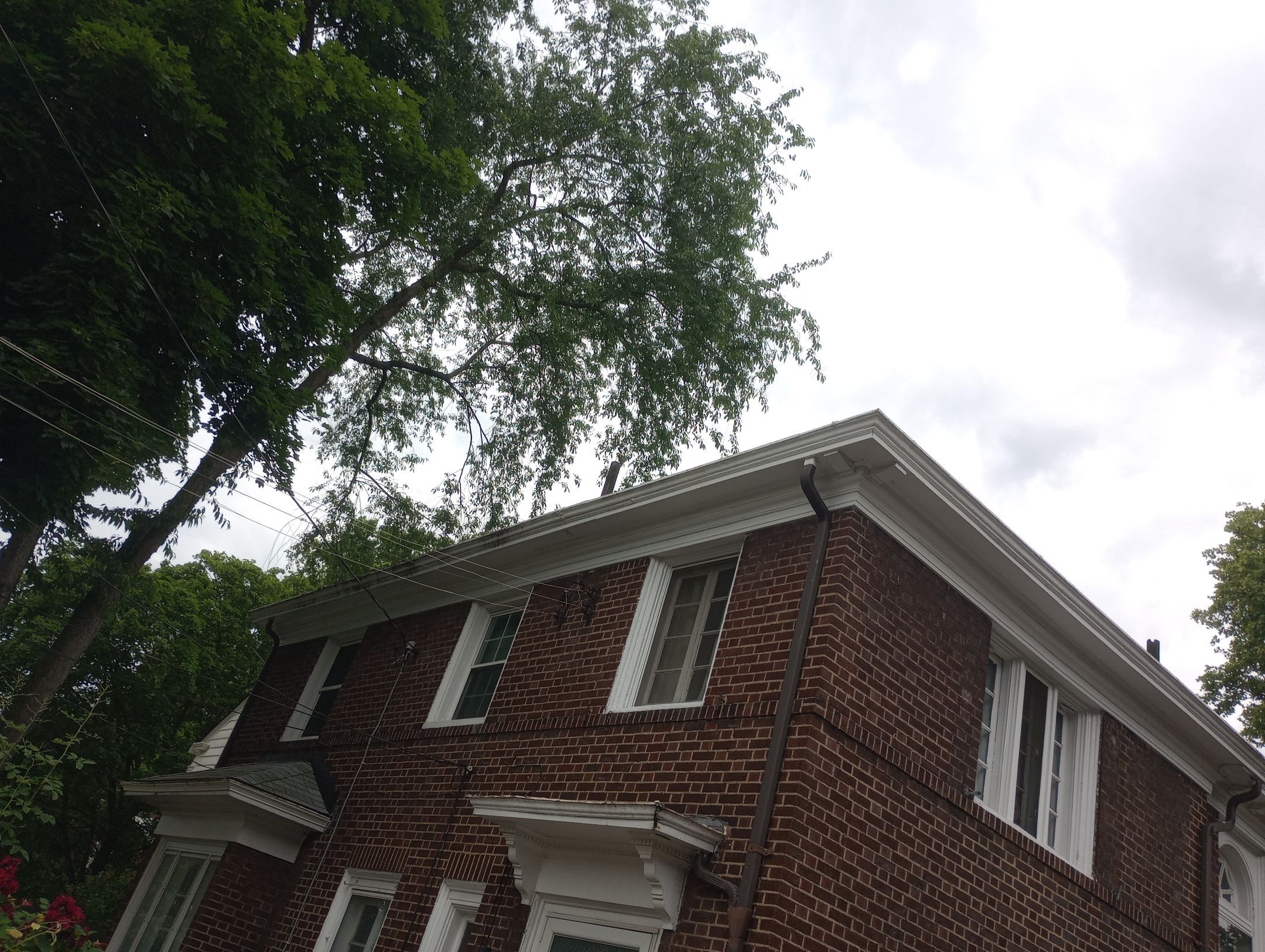 Candice Davis by Silver Leaf Contracting 