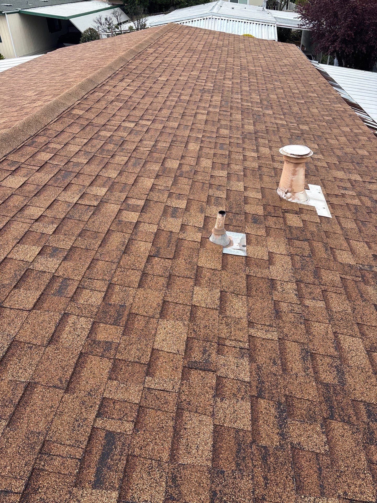 Roof Rejuvenation using Roof Maxx Treatment by Roof Maxx of Folsom