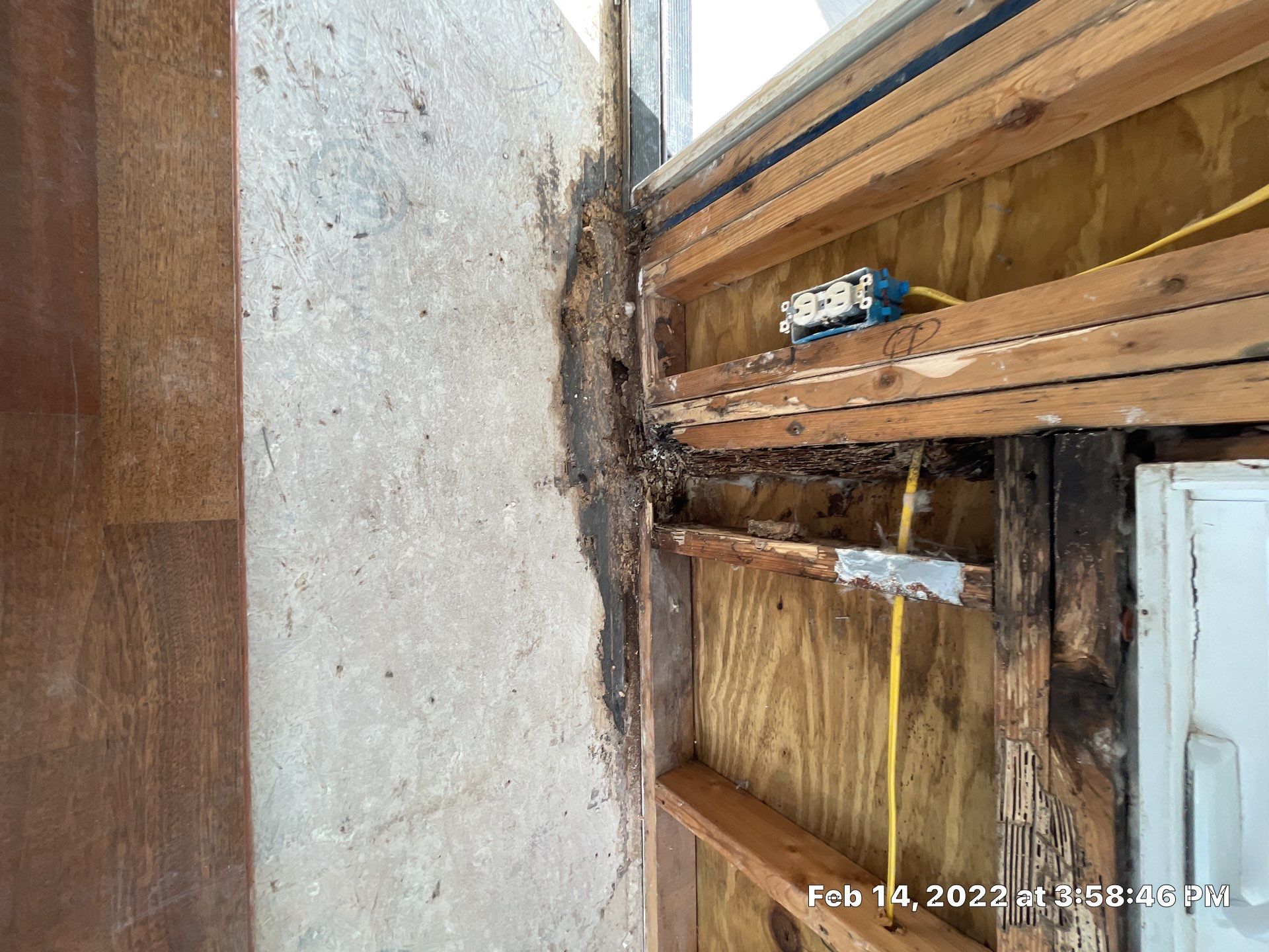 Luxury Home - Owners find termites and need interior selective demo, prior to repairs. by EAS Environmental, LLC.