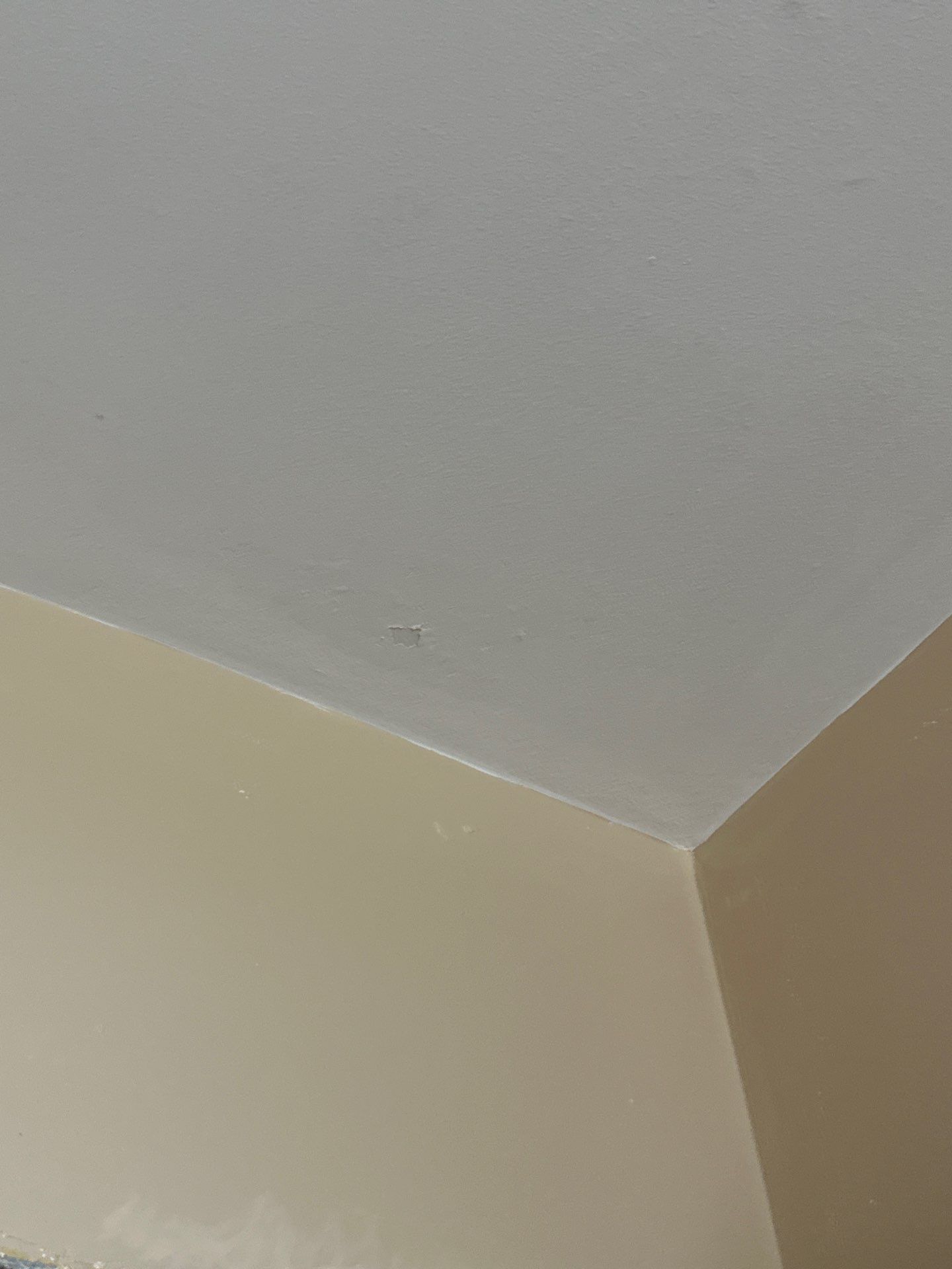 Interior Painting and Bathroom Tile Renovation in Milwaukee by OCS Contracting Services