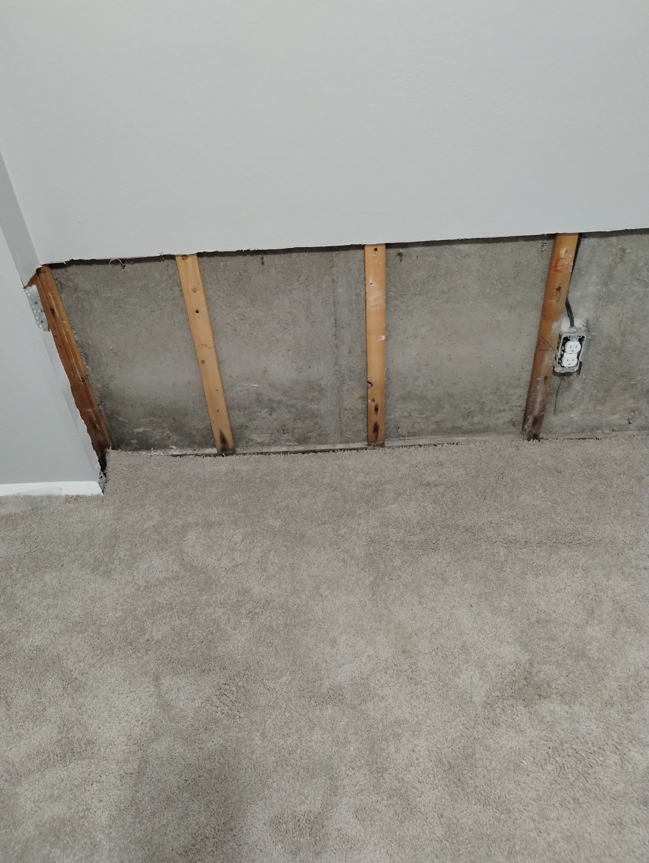 Mold Damage Repairs by Accountable Home Services