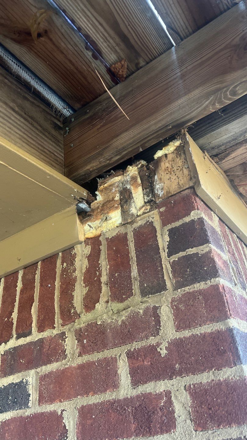 Shades Crest - Deck by Pillar and Pine