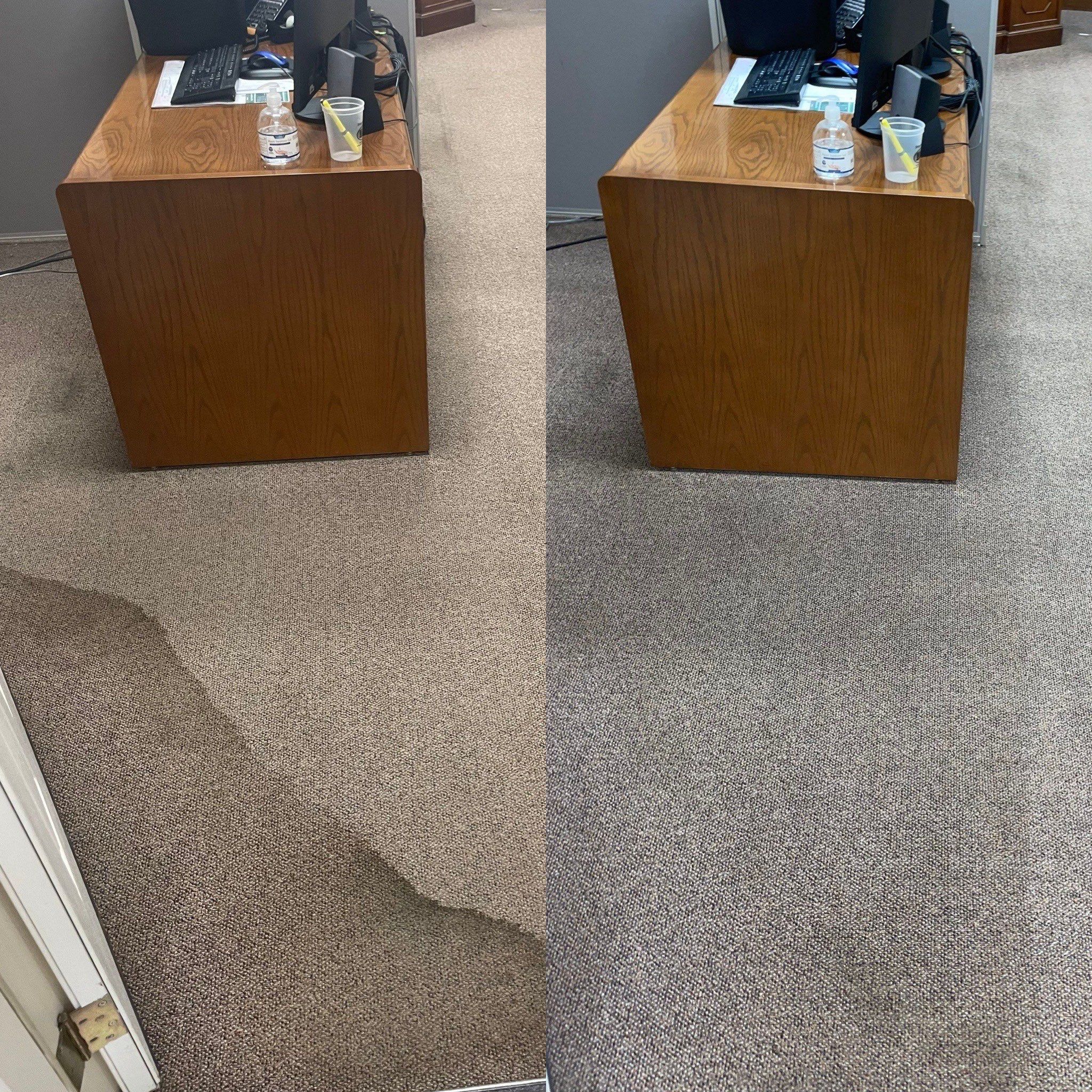 the carpet cleaning service is removing stains and restoring the appearance of the office carpet in the photo