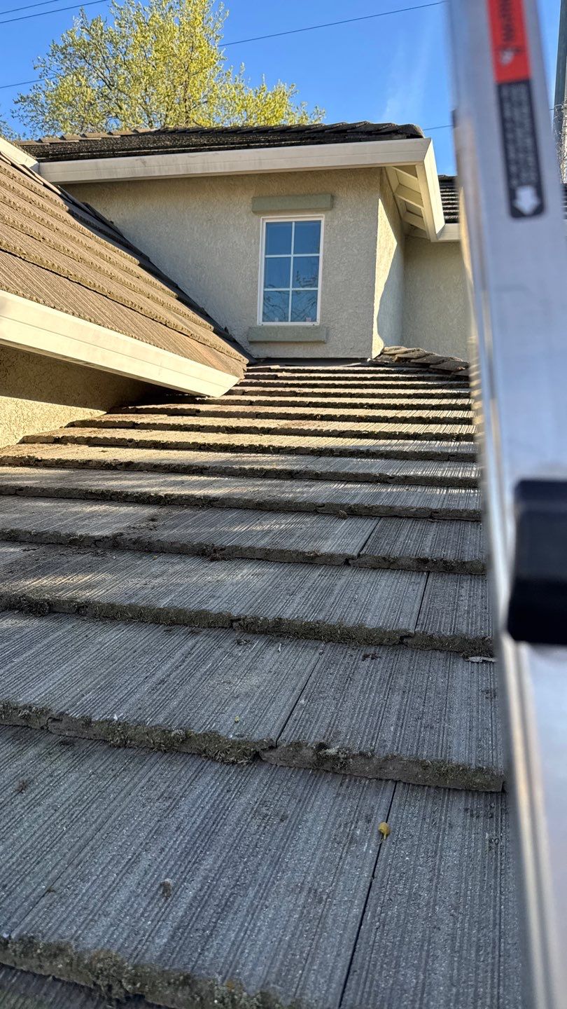 Project by NuLead Construction Inc by NuLead Construction Inc