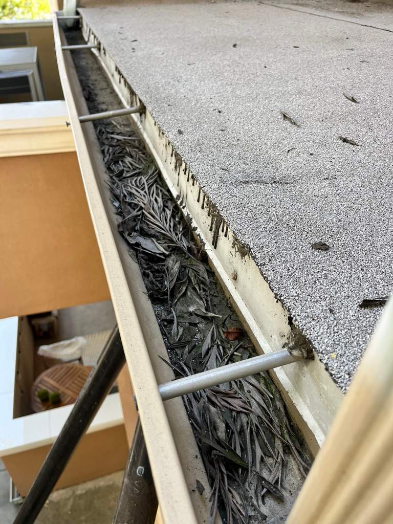 HOA Gutter Cleaning South Mentor Ave Pasadena by Palm Coast Solar Cleaning