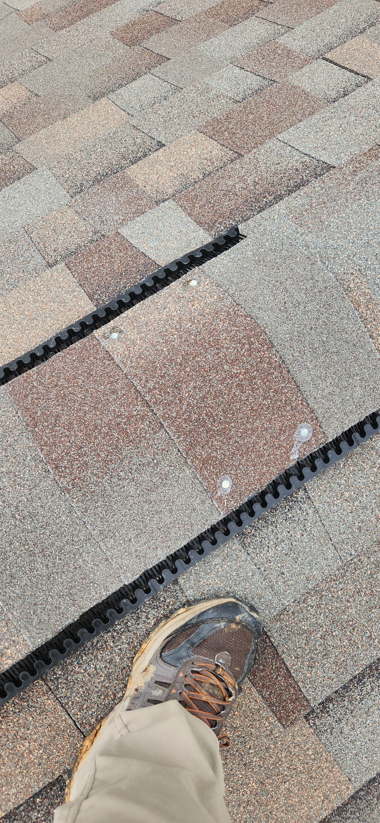 Residential Shingle Reroof using Malarkey Vista by Hostetler Roofing