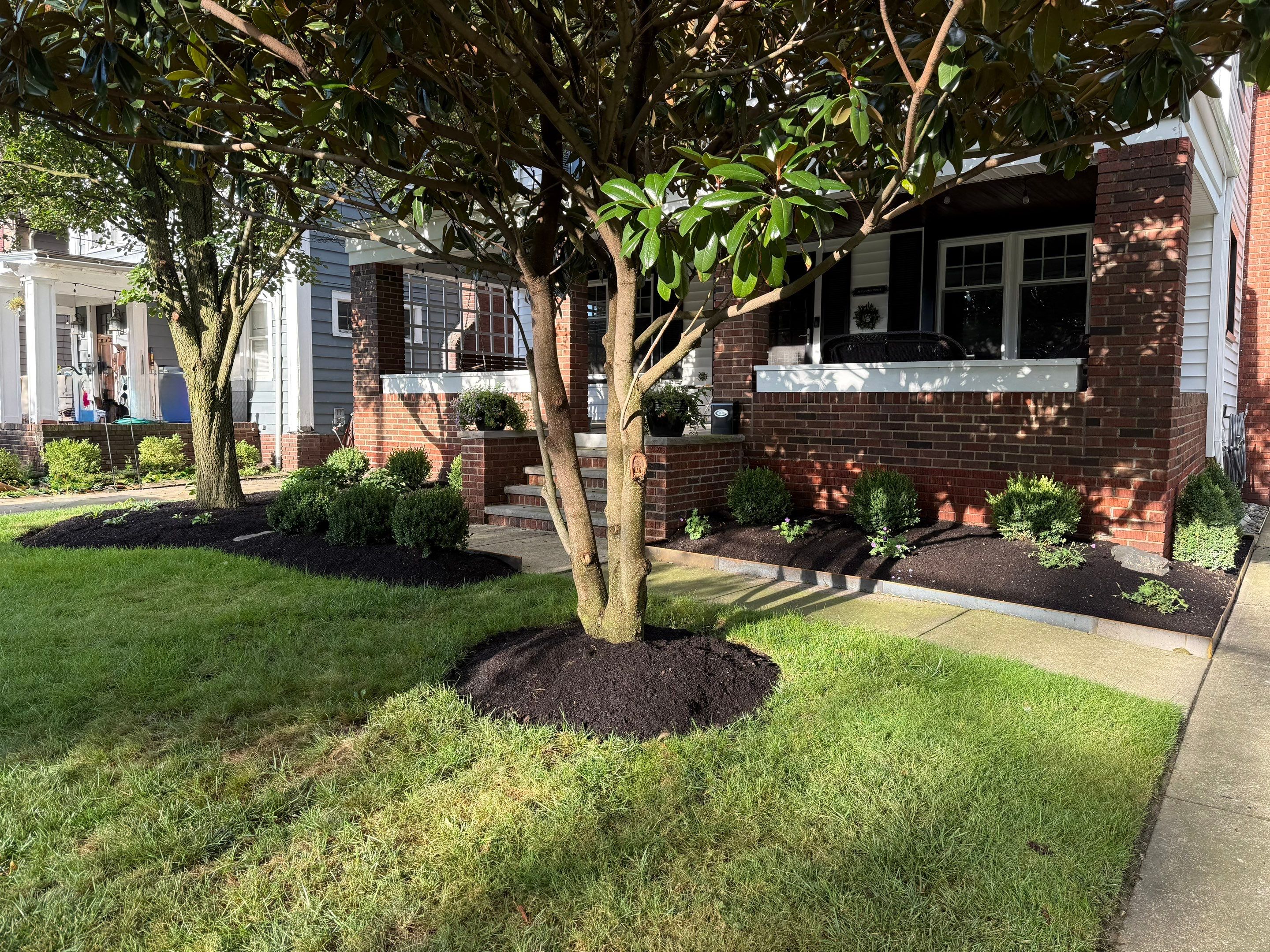 Modern Magnolia Project by Elm Rose Gardens