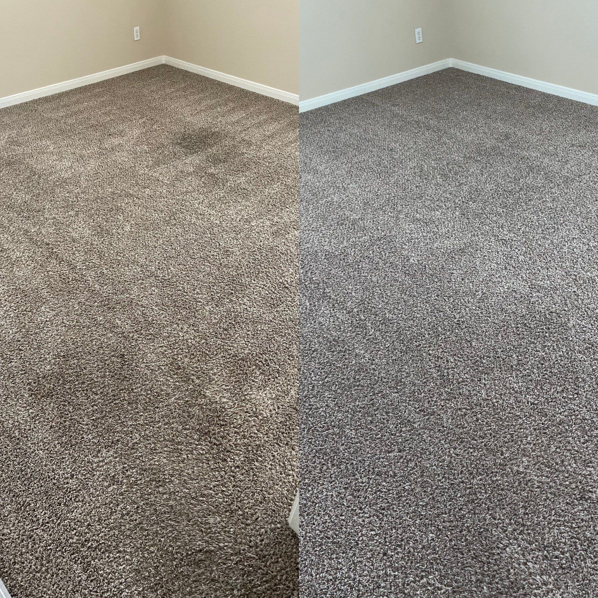 carpet cleaning removing stains and dirt making the carpet look clean and fresh in a room in san antonio