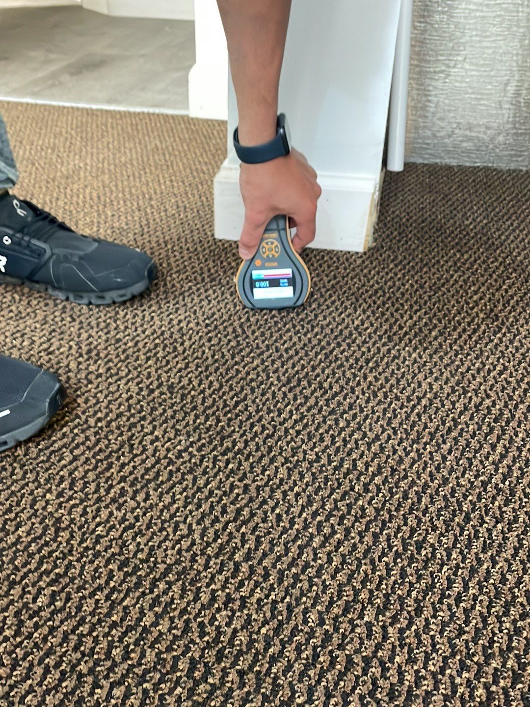 Project in West Bloomfield Township by EzDry Water Mitigation & Property Restoration