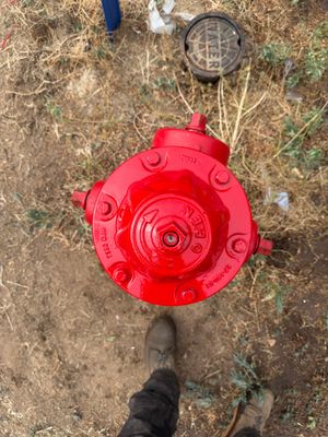 Project in Greeley
