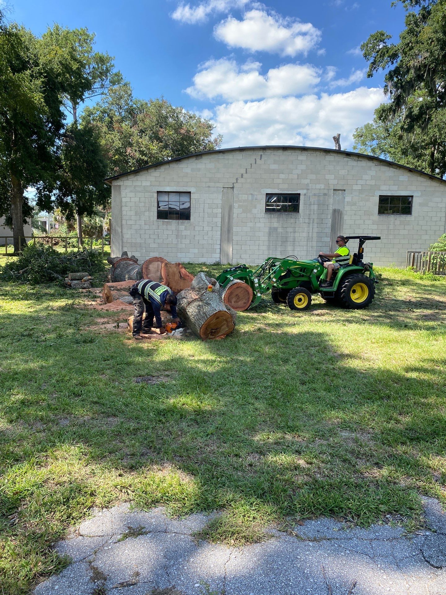 Commercial Property | Clean Up & Tree Removal by ProGreen Services