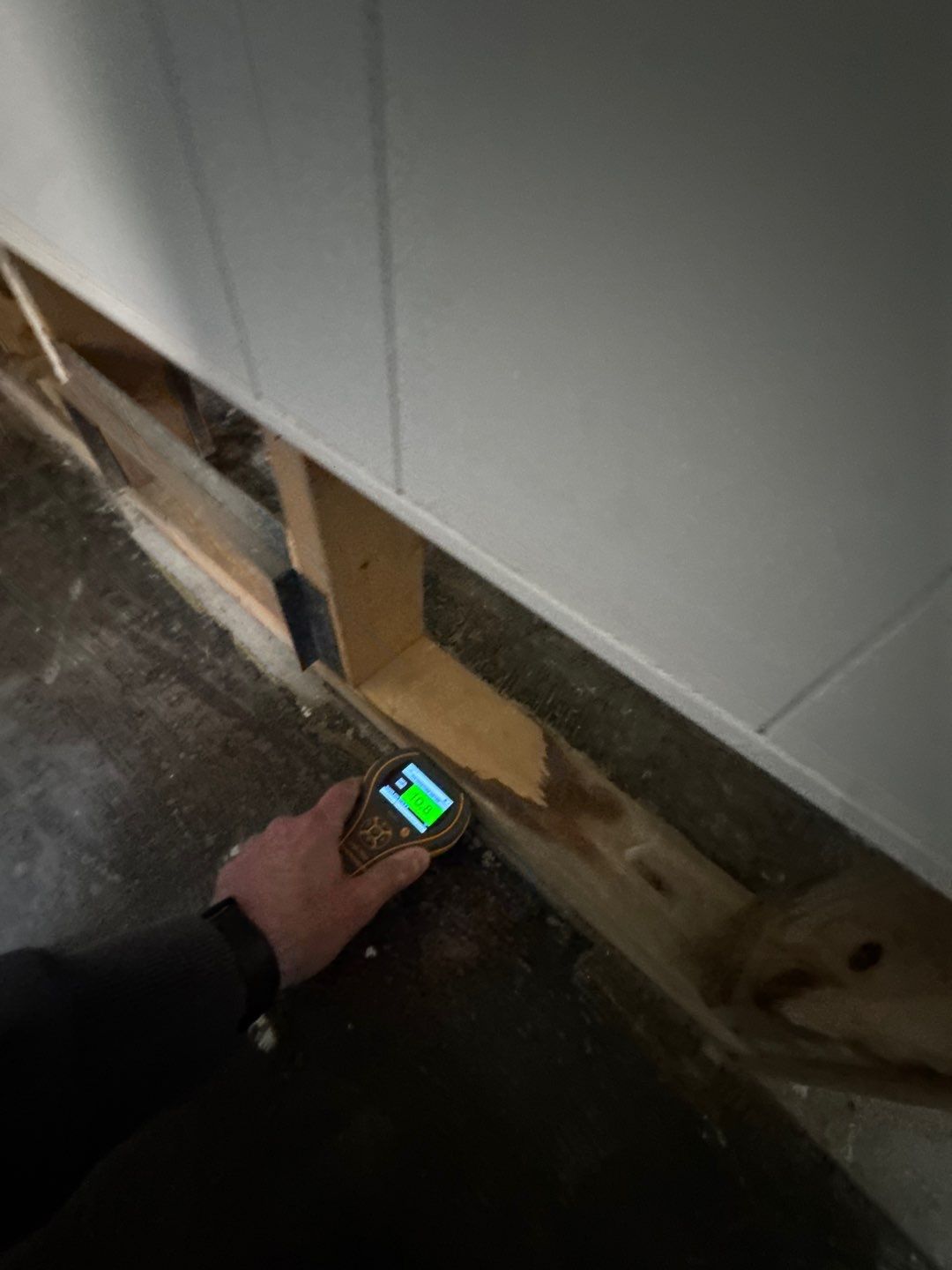 Project in Royal Oak by EzDry Water Mitigation & Property Restoration