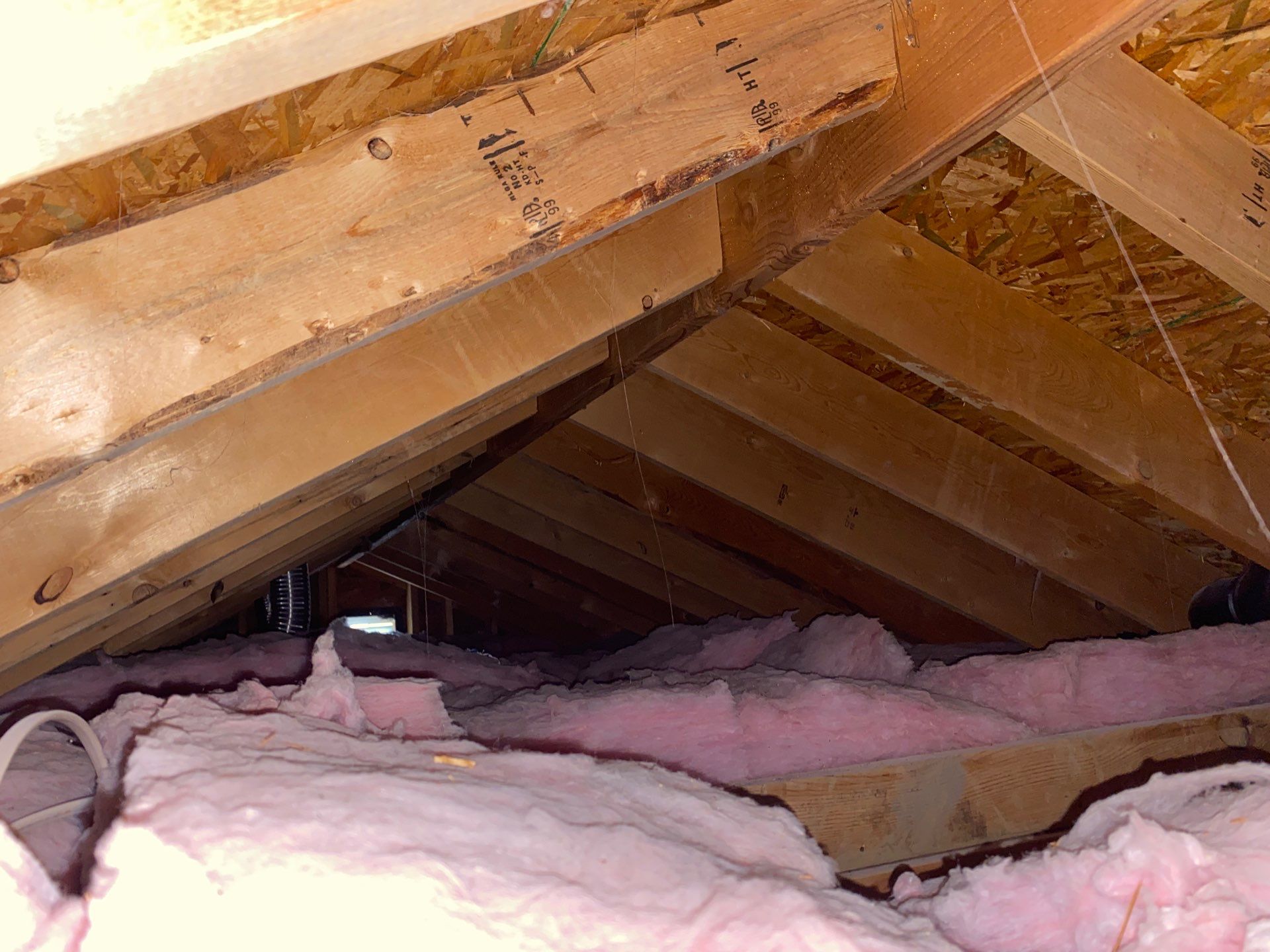 Attic air sealing, insulation upgrade, and access improvement in Pittsburgh, PA by Home Environment Solutions