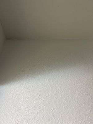 Project in Tampa